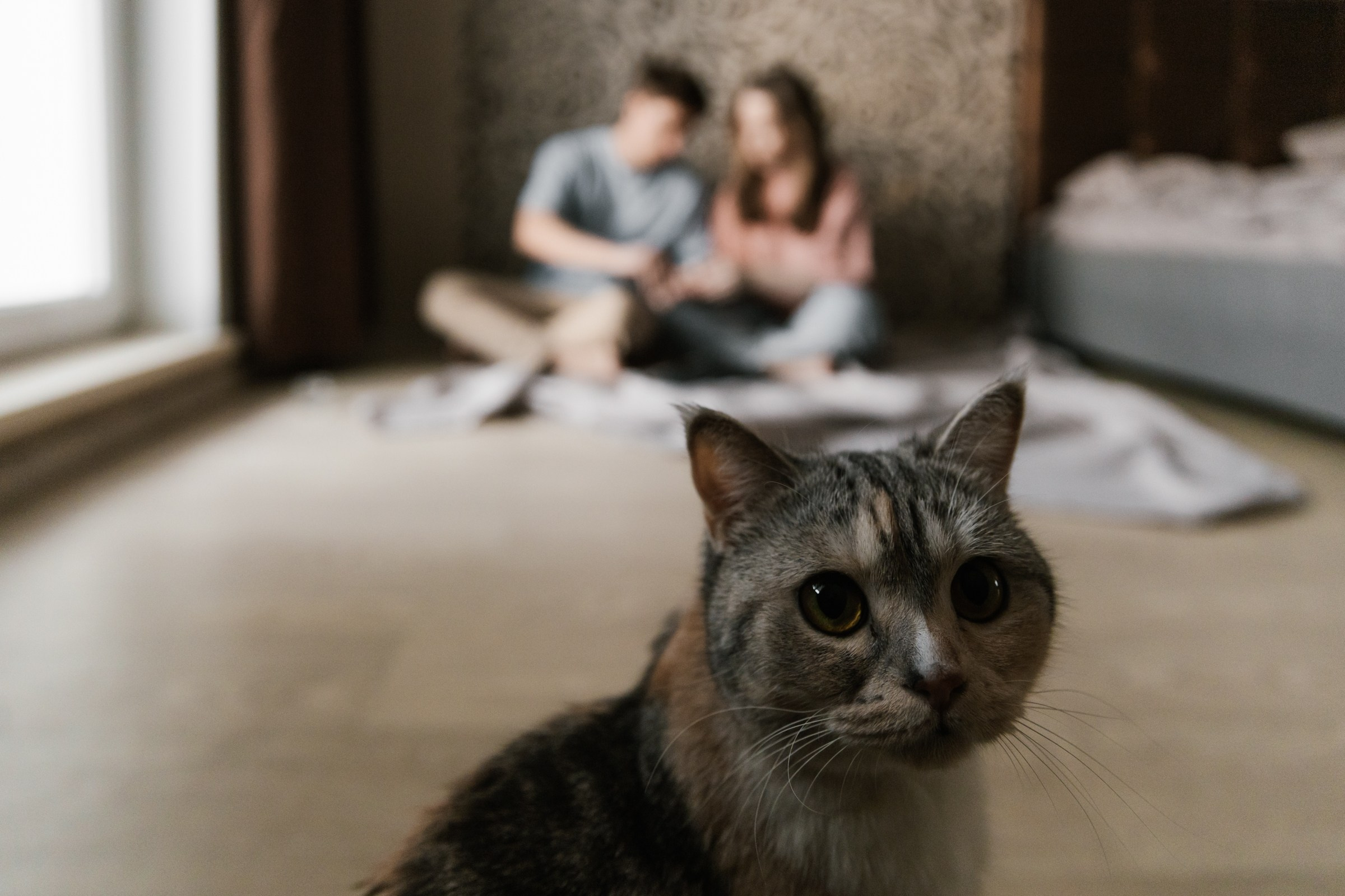 Домашний чилл. Свадебный фотограф Марьям Сайфулина г. Красноярск