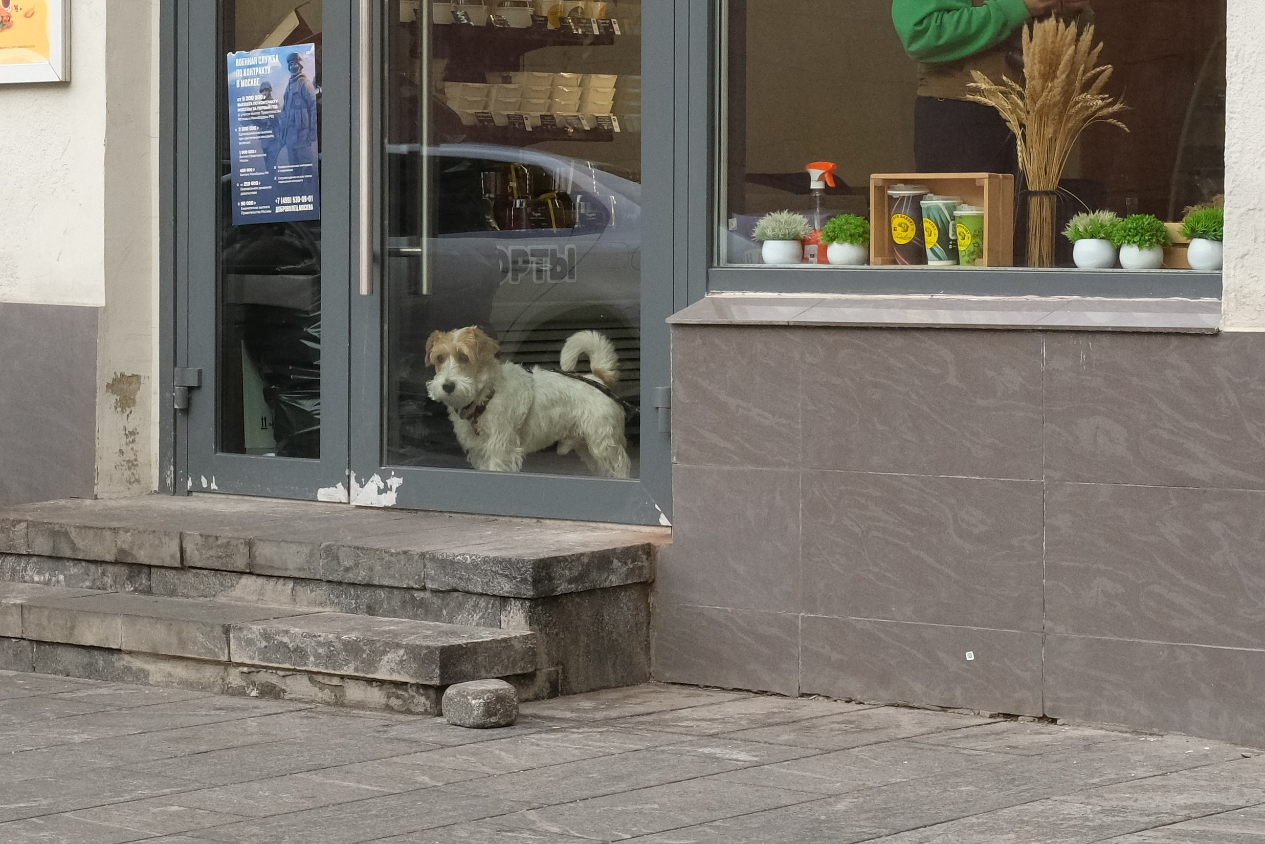 Улица, люди, жизнь…