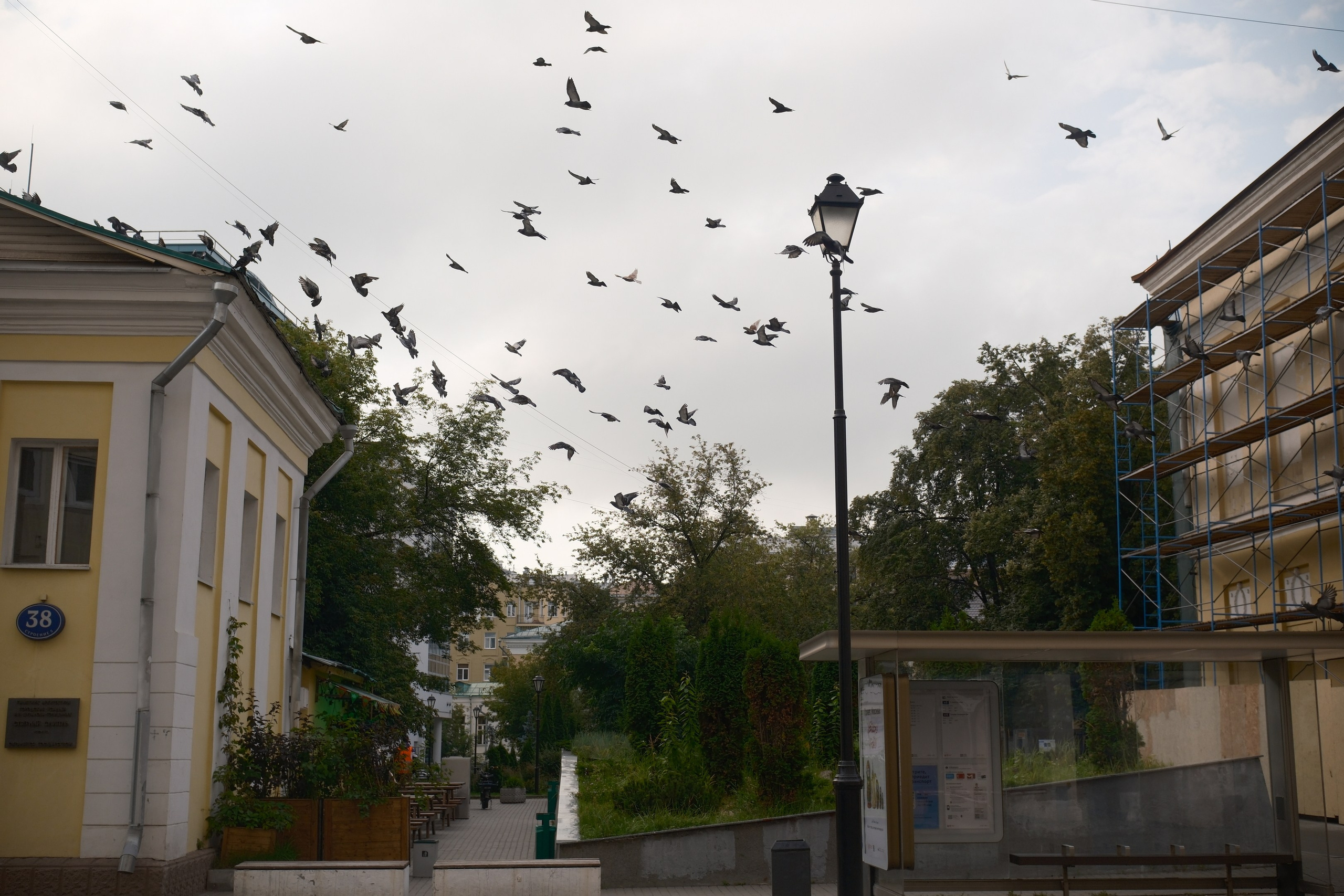 Август 2025. Улица, люди, жизнь…