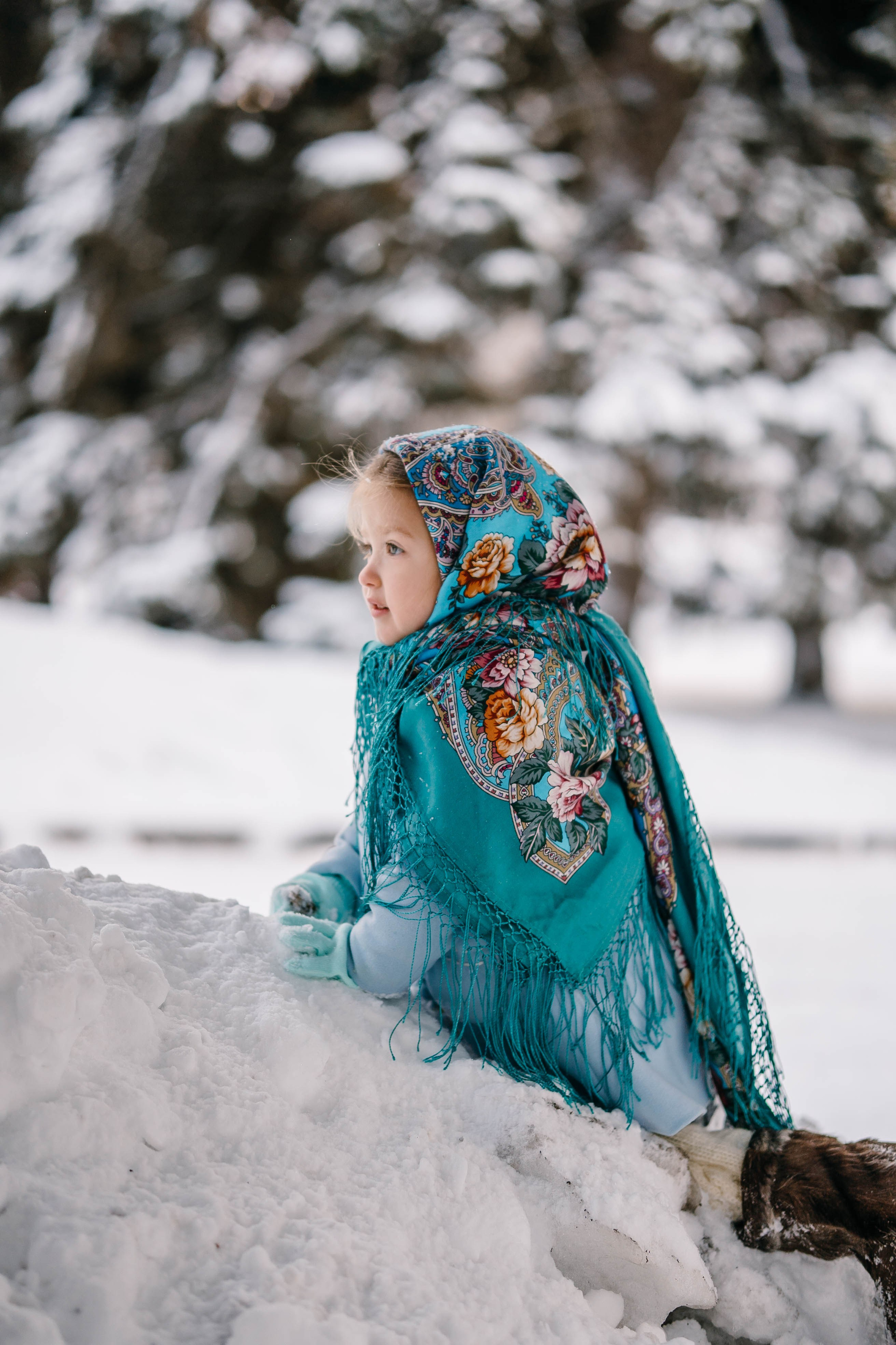 Зимняя сказка в Сосновом лесу. Фотограф Сергей Логинов