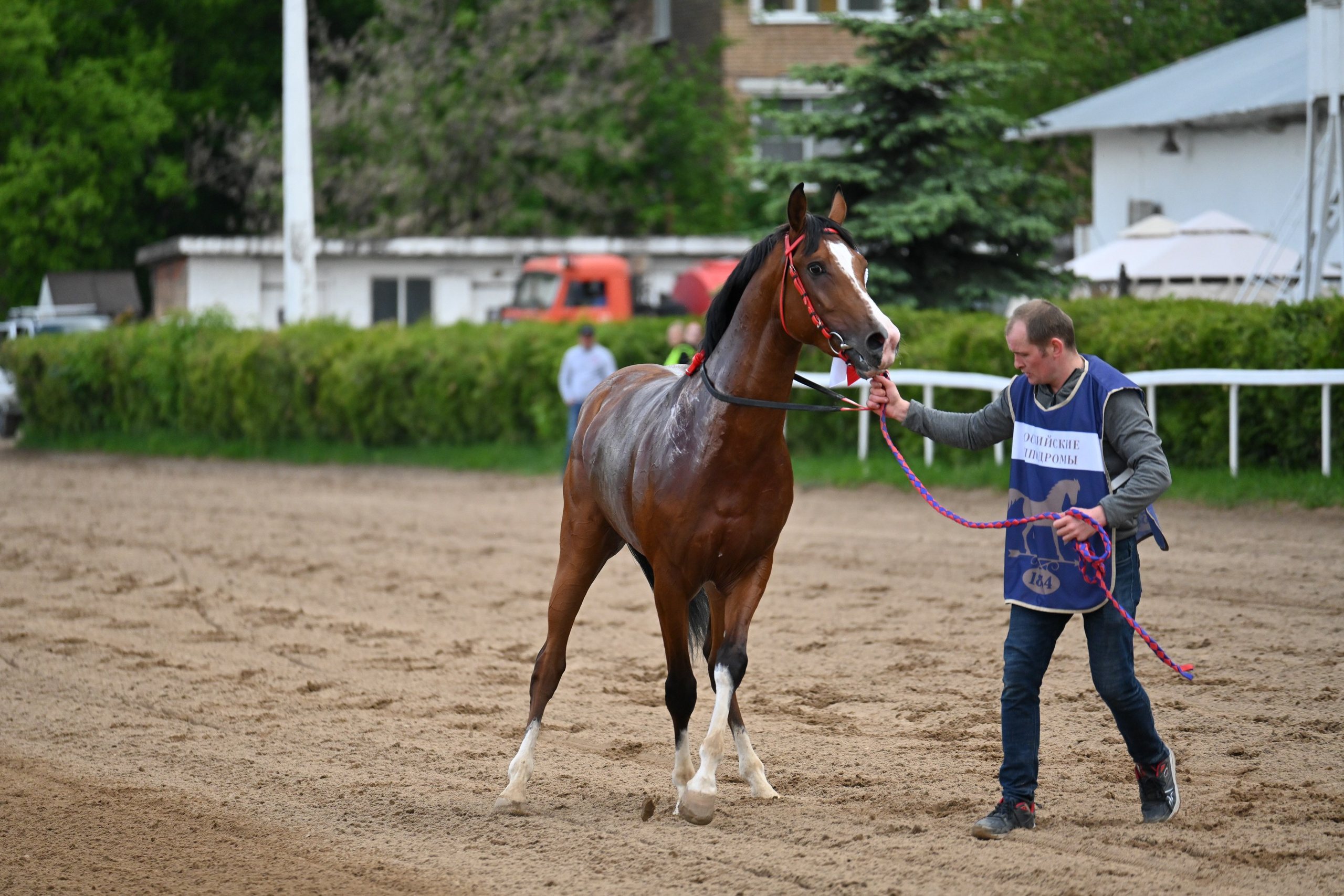 Ипподром (Москва). Fotolux