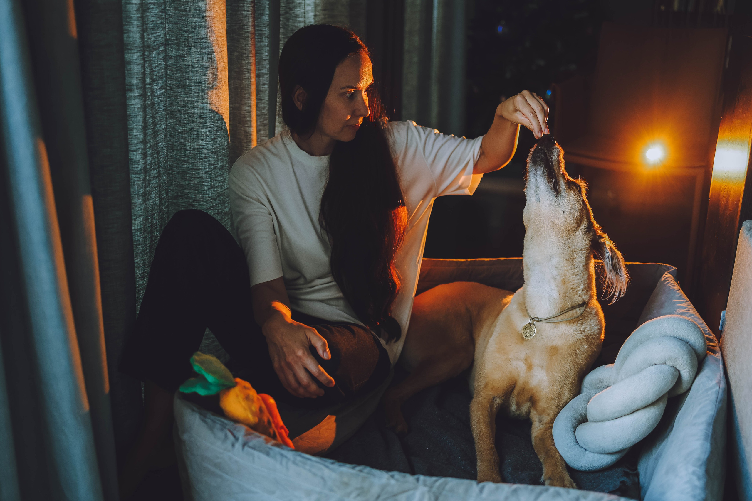 Марина и Шаня. Фотограф-анималист Еремина Вероника в Москве