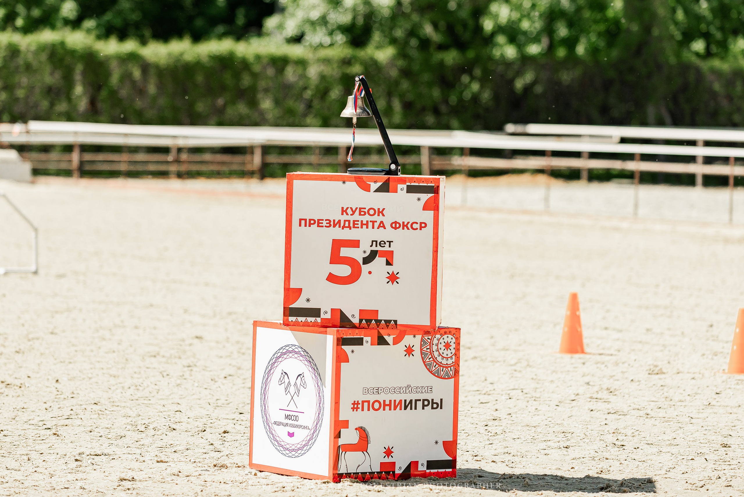 #ПОНИФОРУМ 2024. Конный фотограф Куракина Дарья • Фотосессии с лошадьми