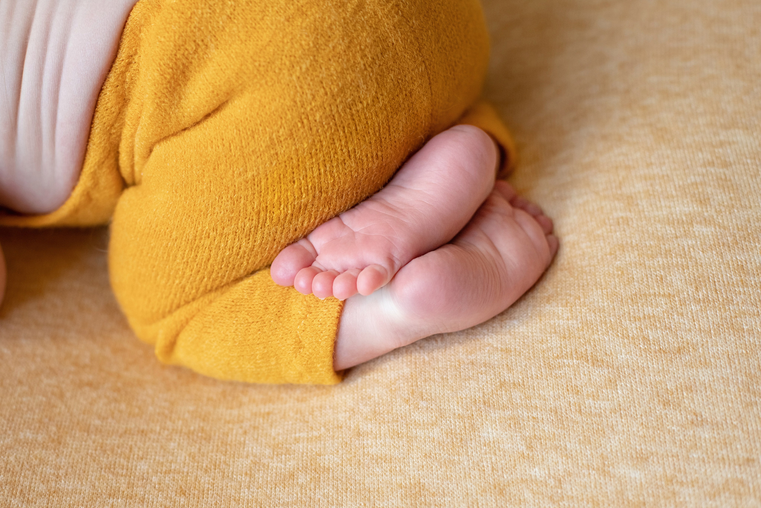 Лев Итого. Фотограф новорожденных в Екатеринбурге Татьяна Продан