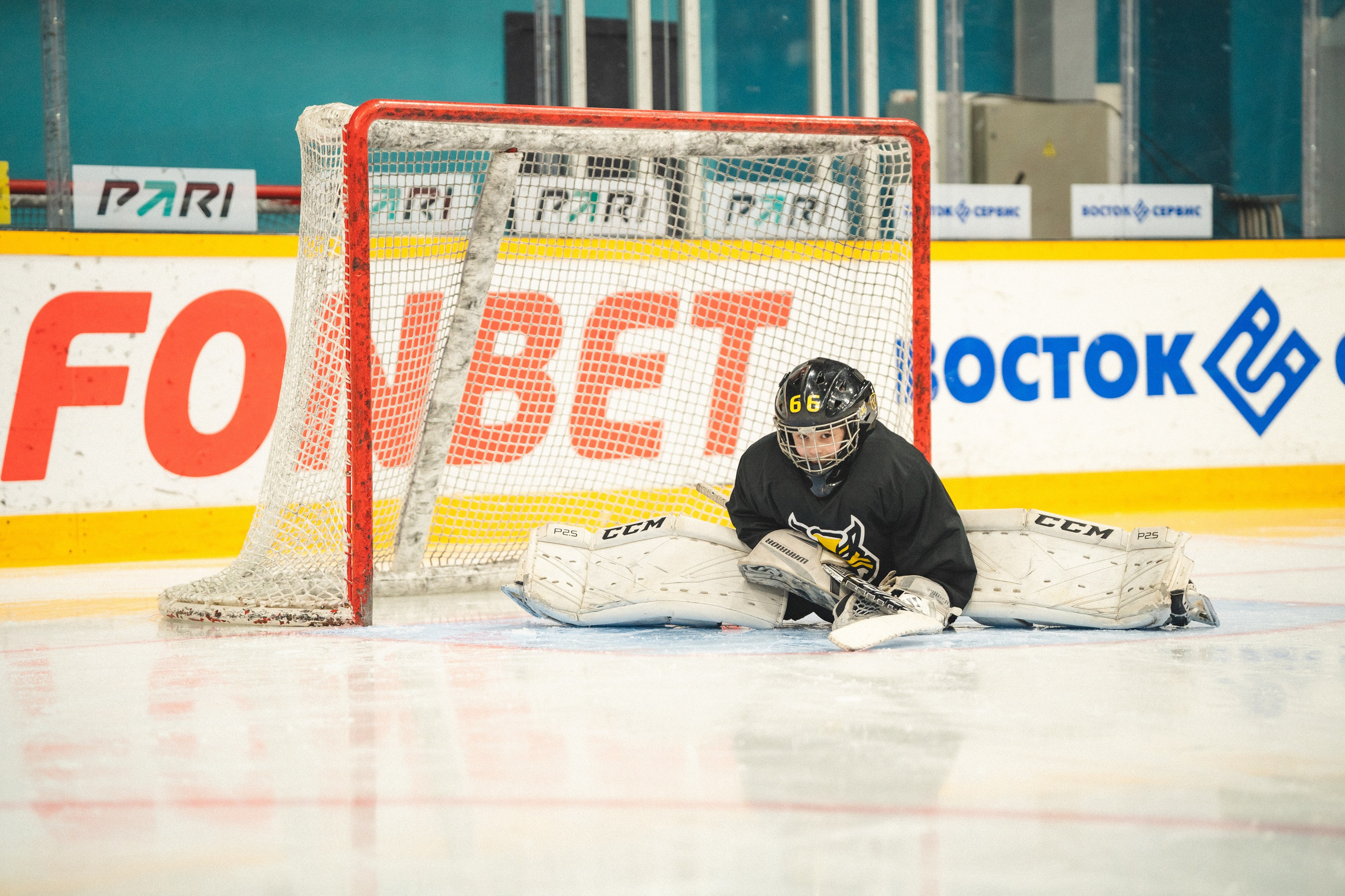 ХК Северсталь (младшая группа). Череповец. Zekons. Фото, видео, нейросети