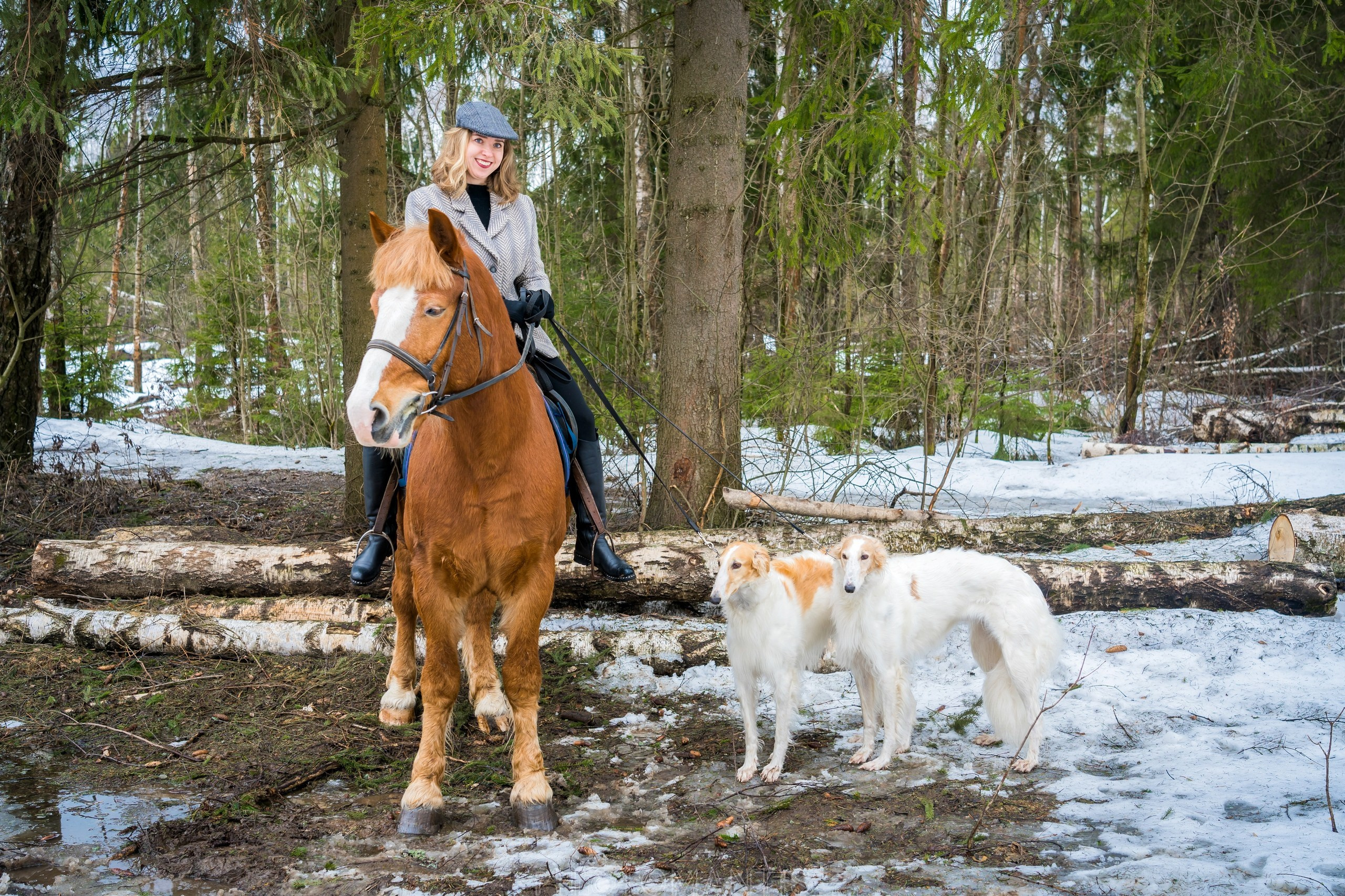 Девушки с лошадками. Photomantis