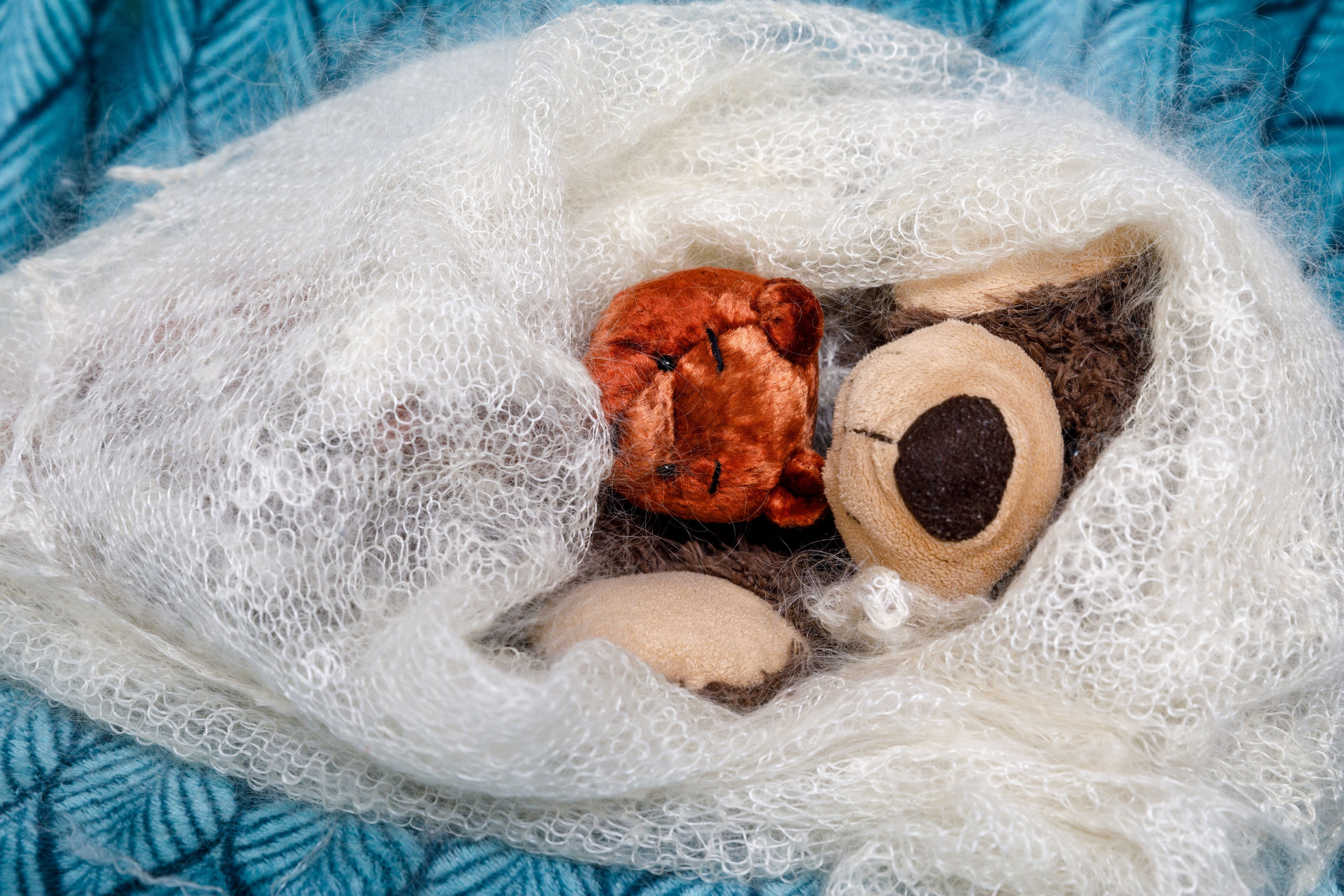 Это не новогодняя фотосессия. Это реклама курсов. Фотограф в Москве Слуцкая Наталья, репортаж, портрет, контент