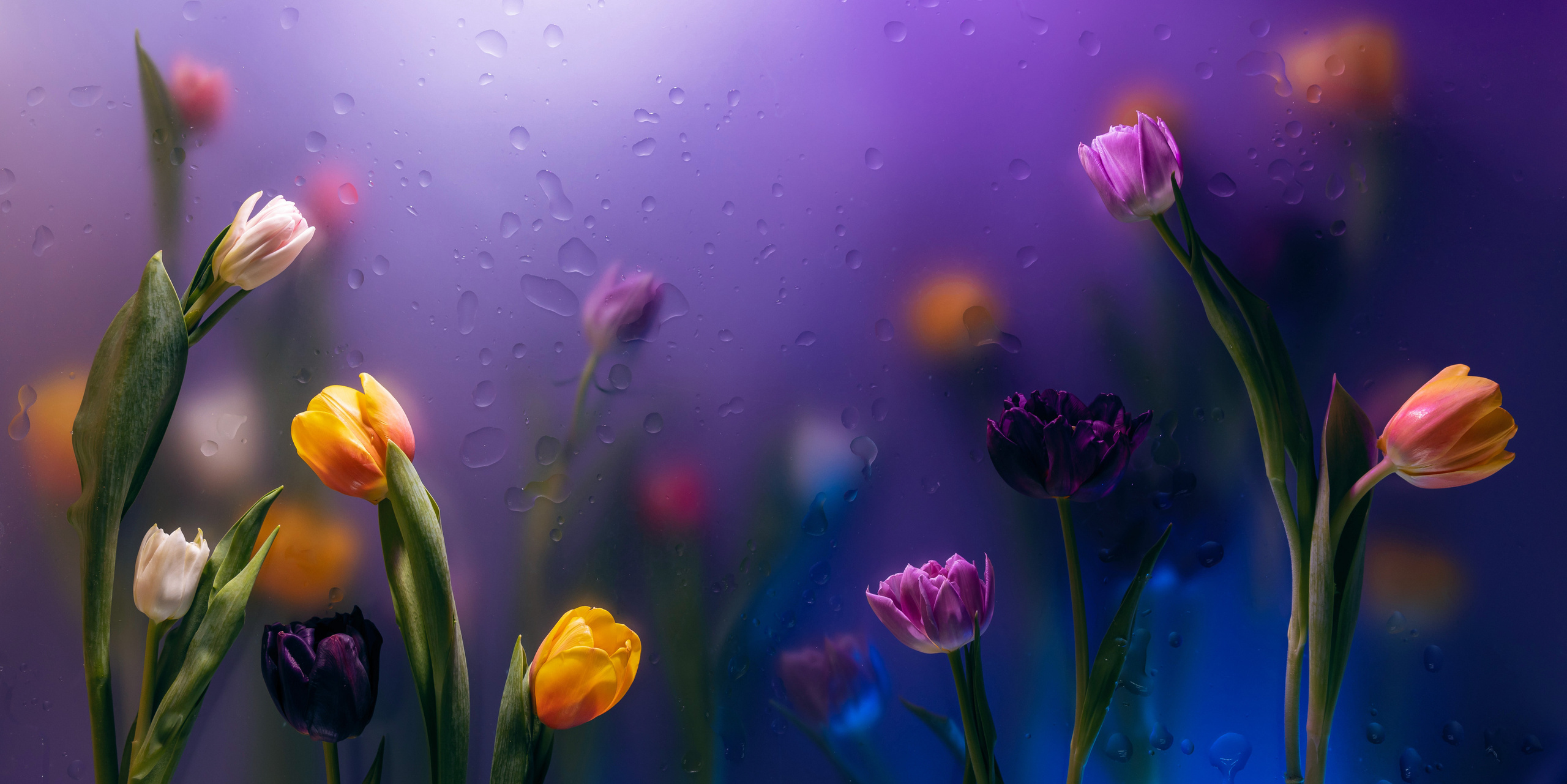 Floristics. Контент-фотограф