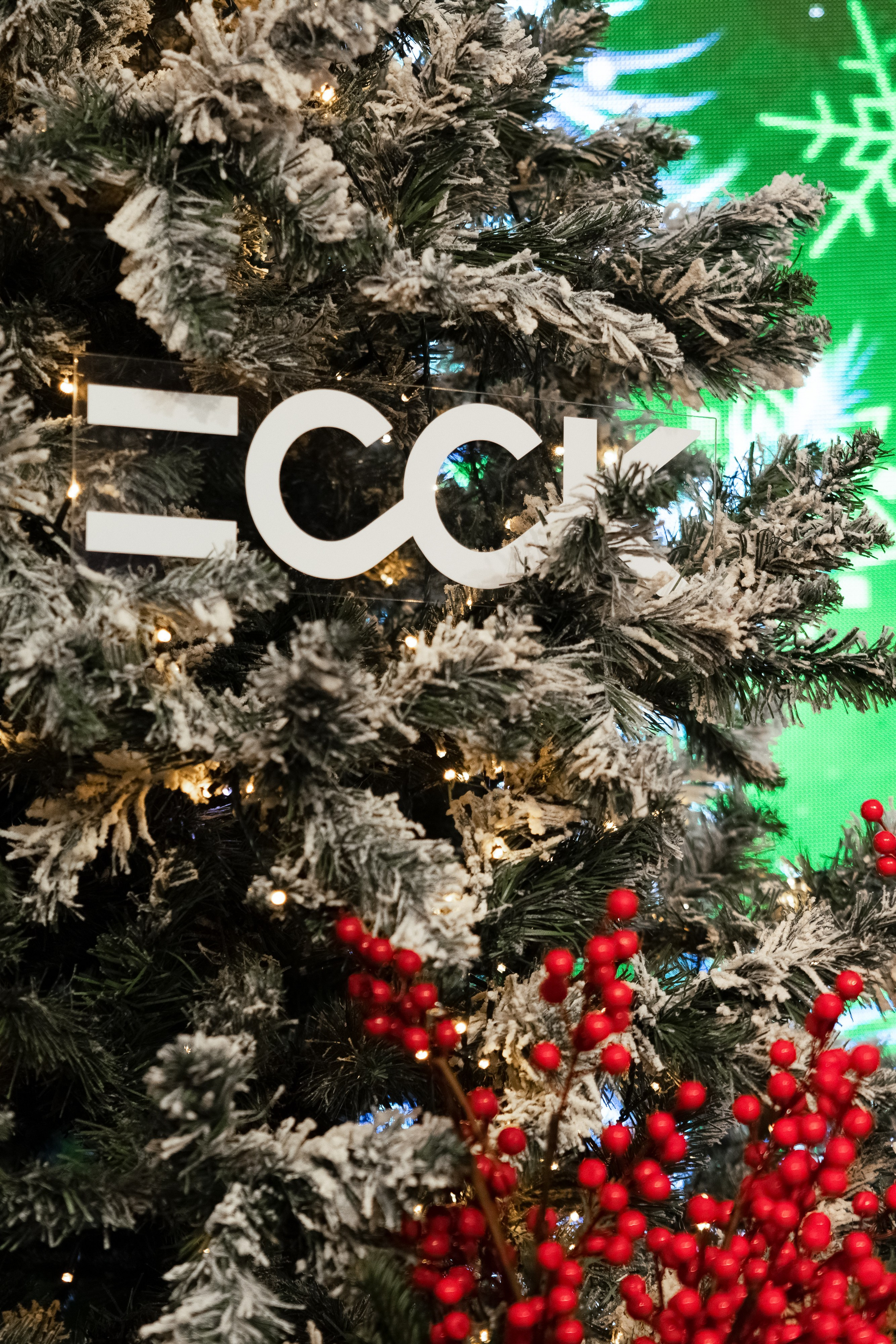 ССК. Арина Тамочкина. Фотограф Краснодарю