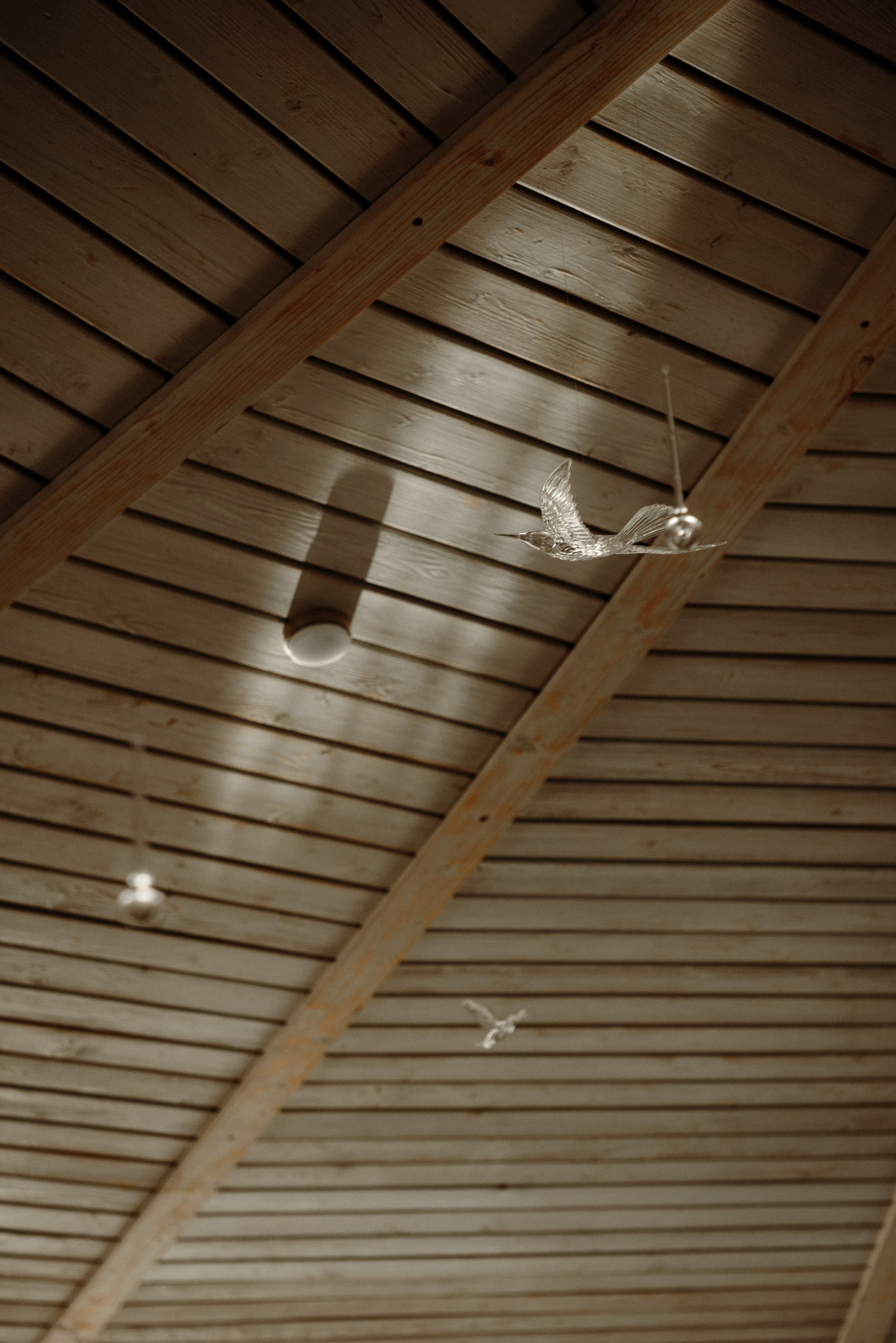 Вика и Антон. Свадебный фотограф в Ярославле и Москве Руслан Иософатов