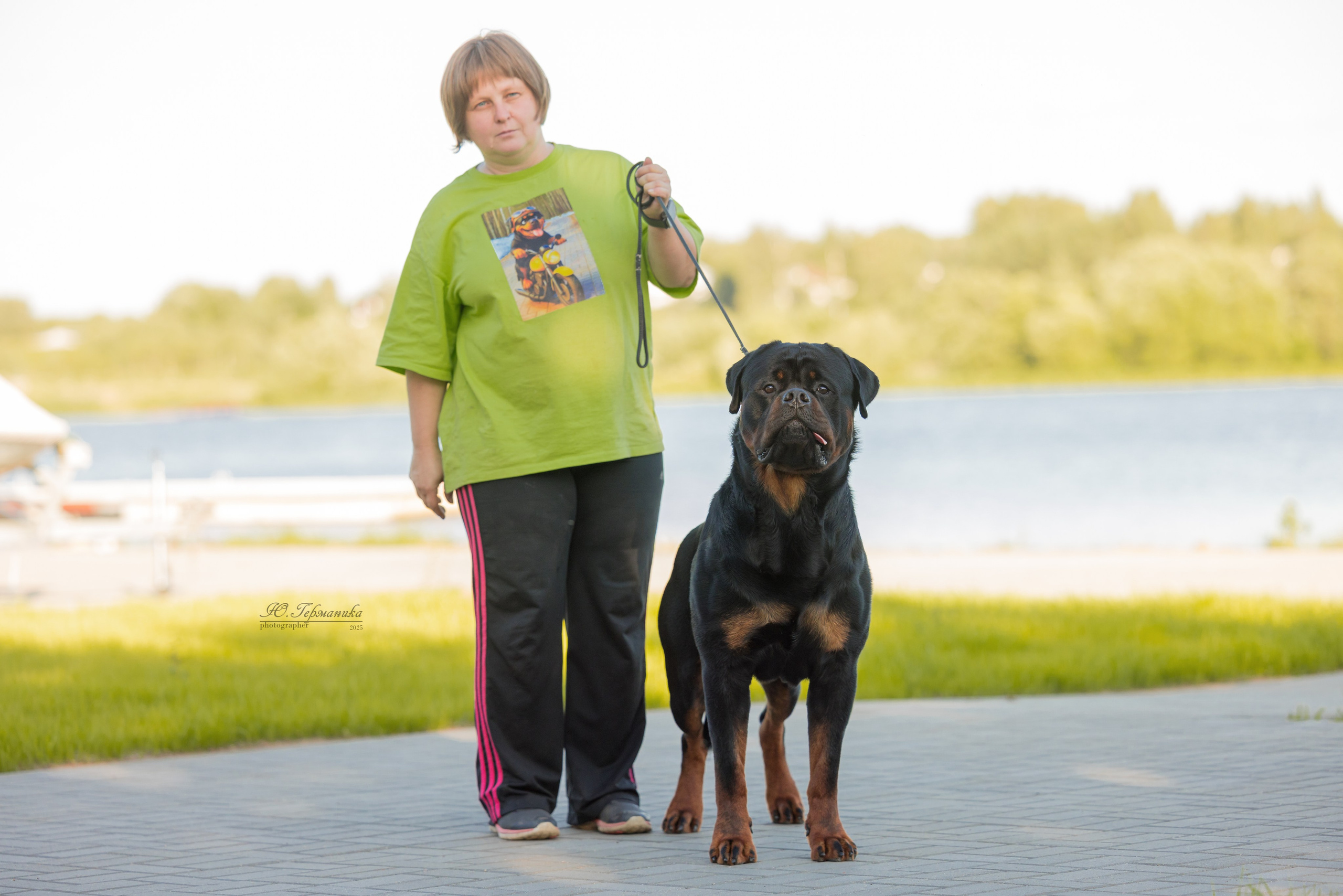 Тверь ротвейлеры 5-6.07.2025. Фотограф-анималист Юлия Германика