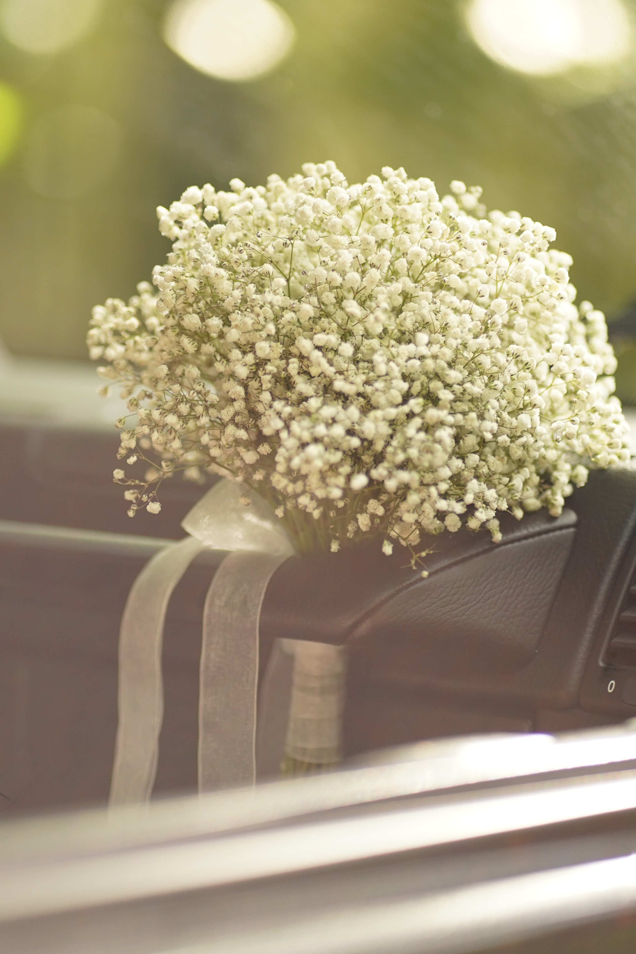 M + V. Фотограф в Москве и МО