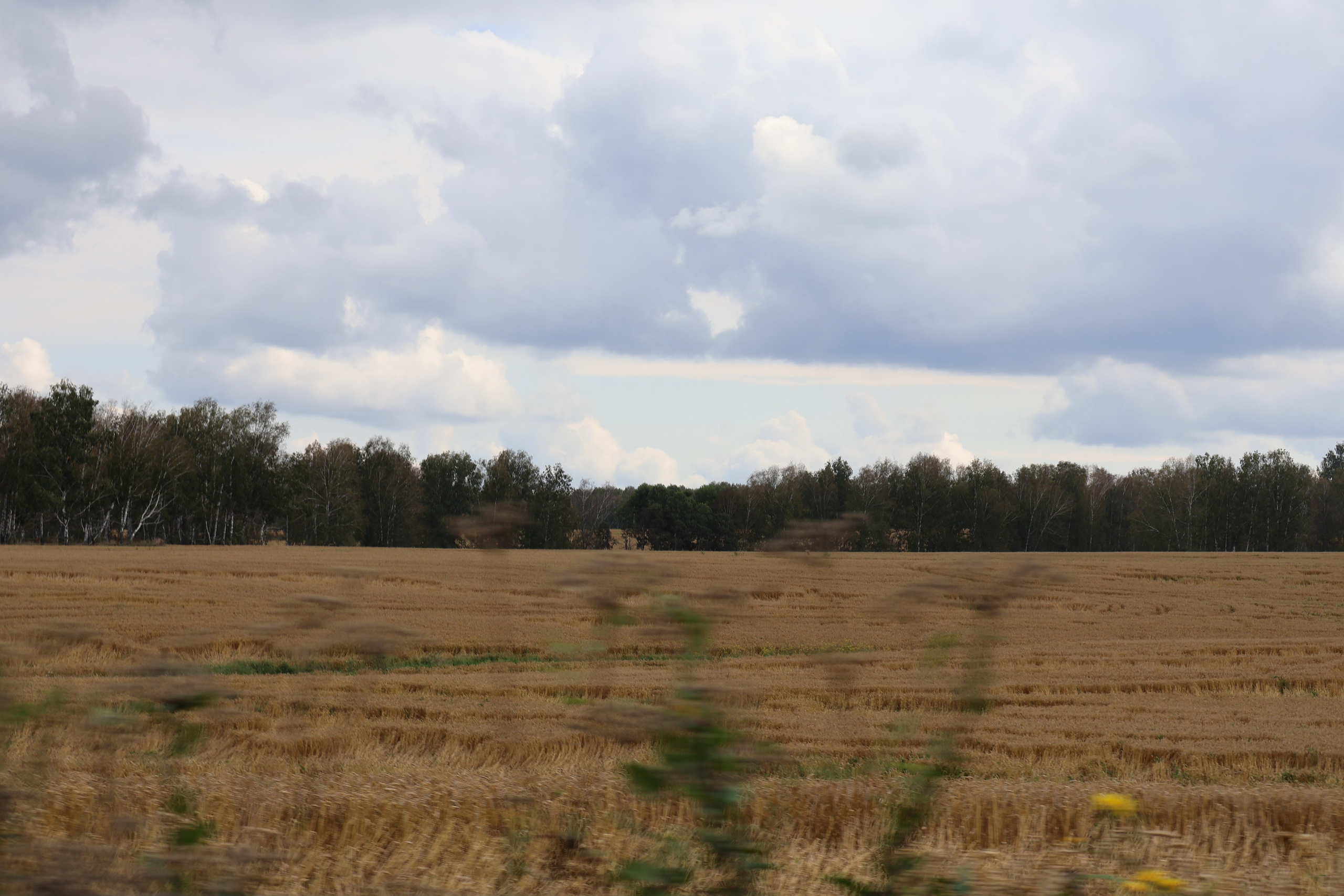 Mintonov's Film Studio