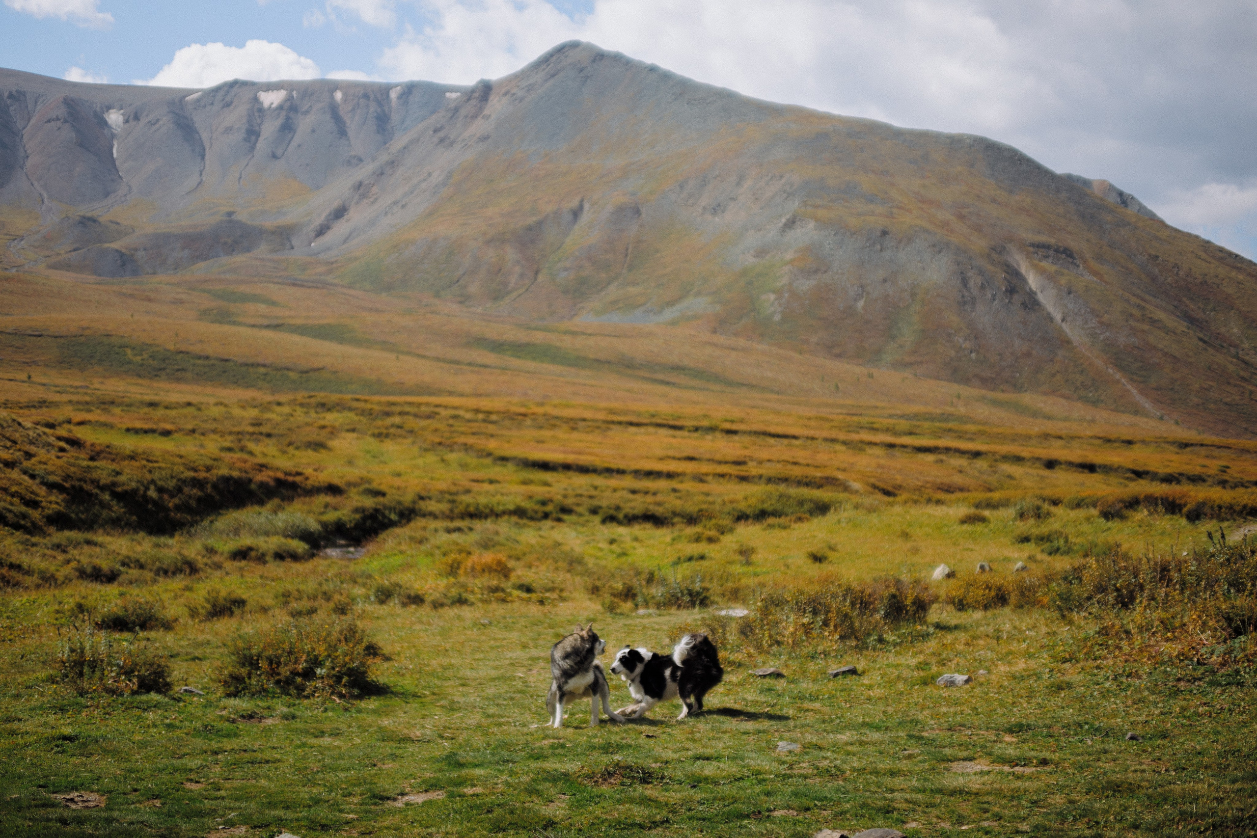 Шавлинские. Главная