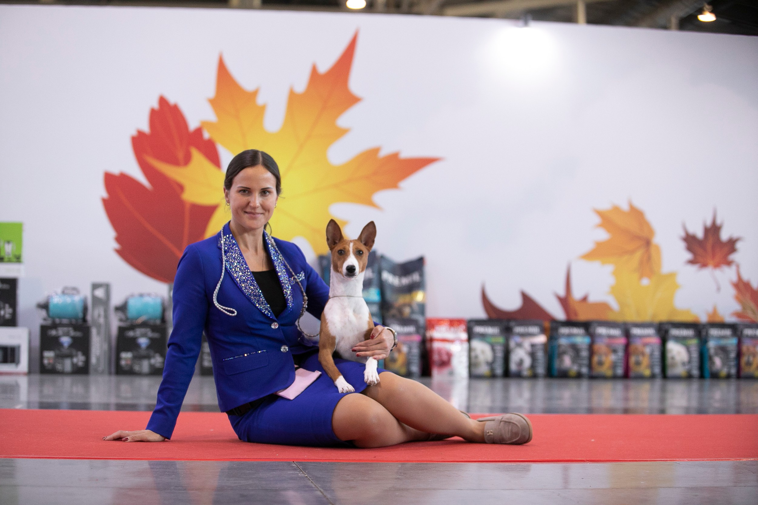 Авторские пресеты для обработки фото. Фотограф — видеограф Алиса Дружинина