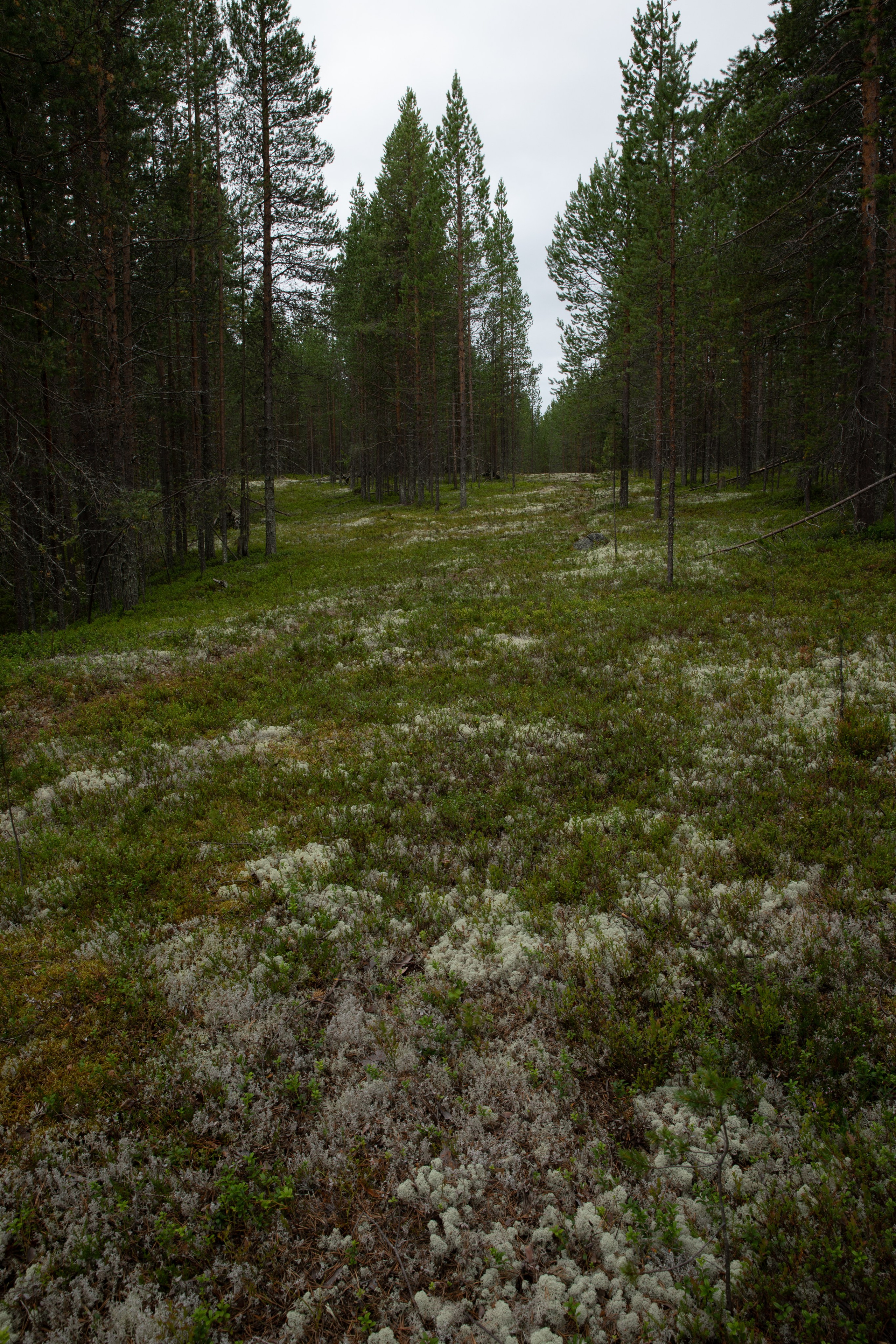 Оз. Колвицкое. Фотографии