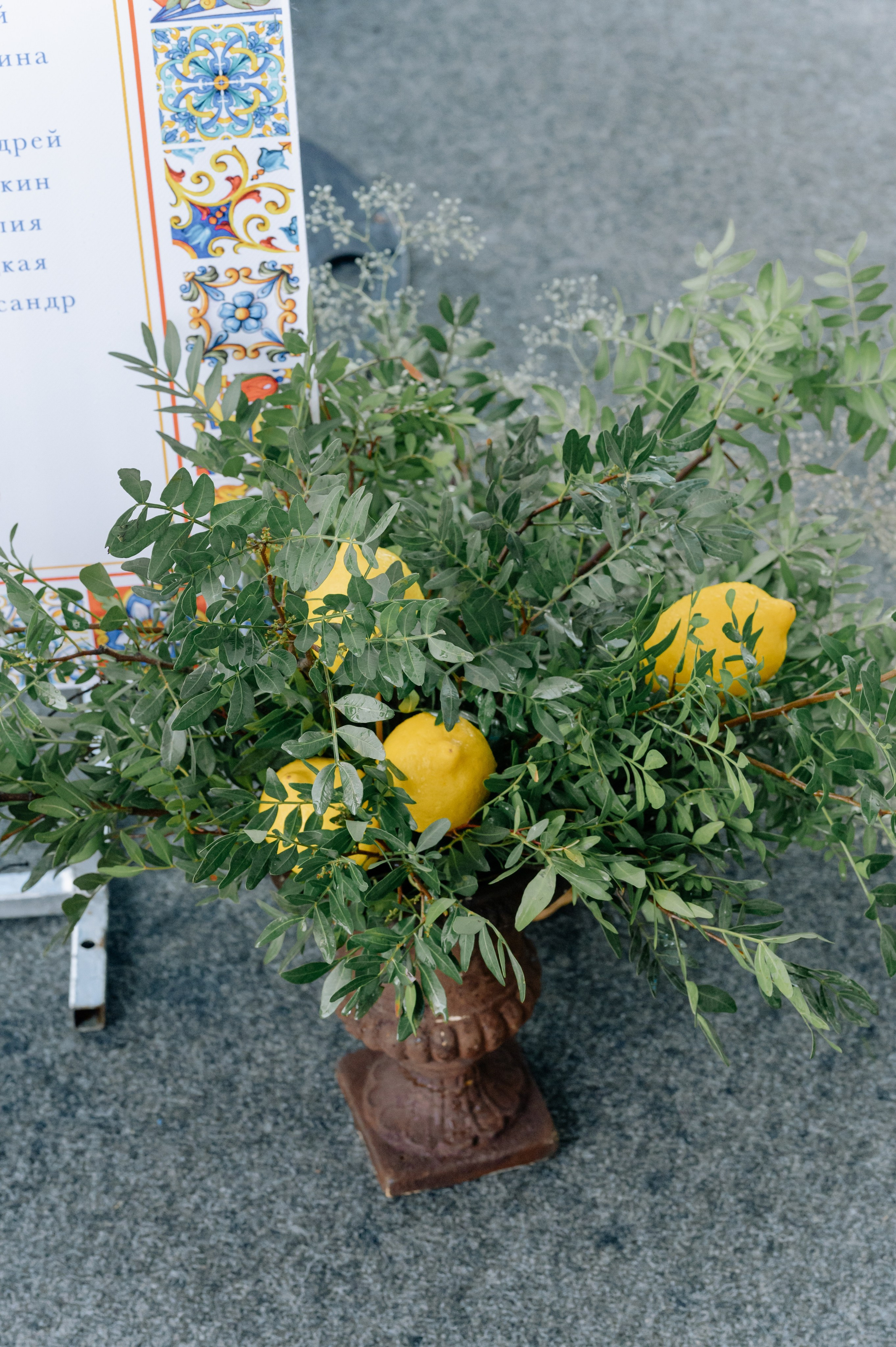 Павел и Элина. Свадебный фотограф Минск, Пинск, Брест, Гродно Чернигов Андрей