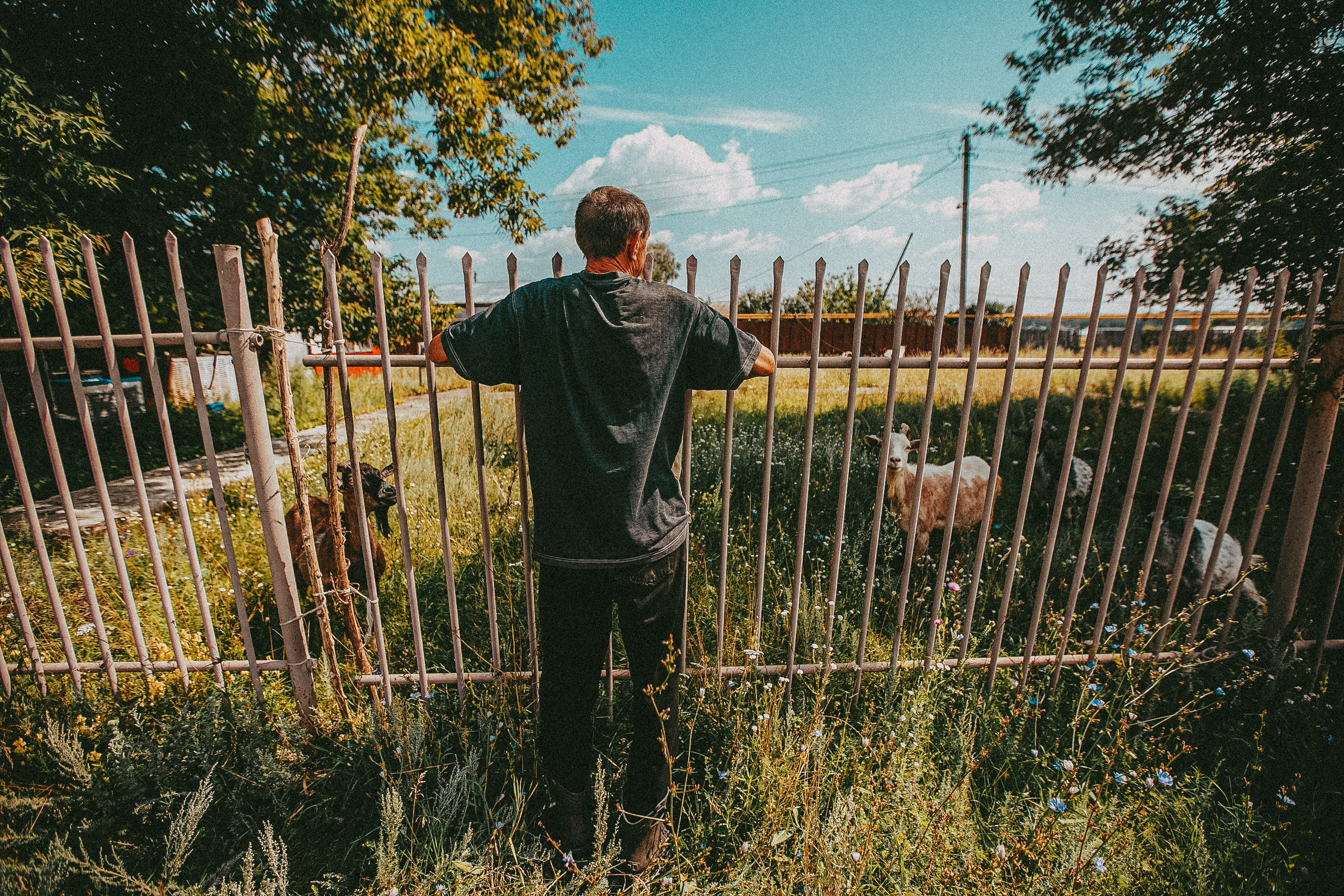 Свадебная фотосессия. Фотограф в городе Самара Александр Гераськин
