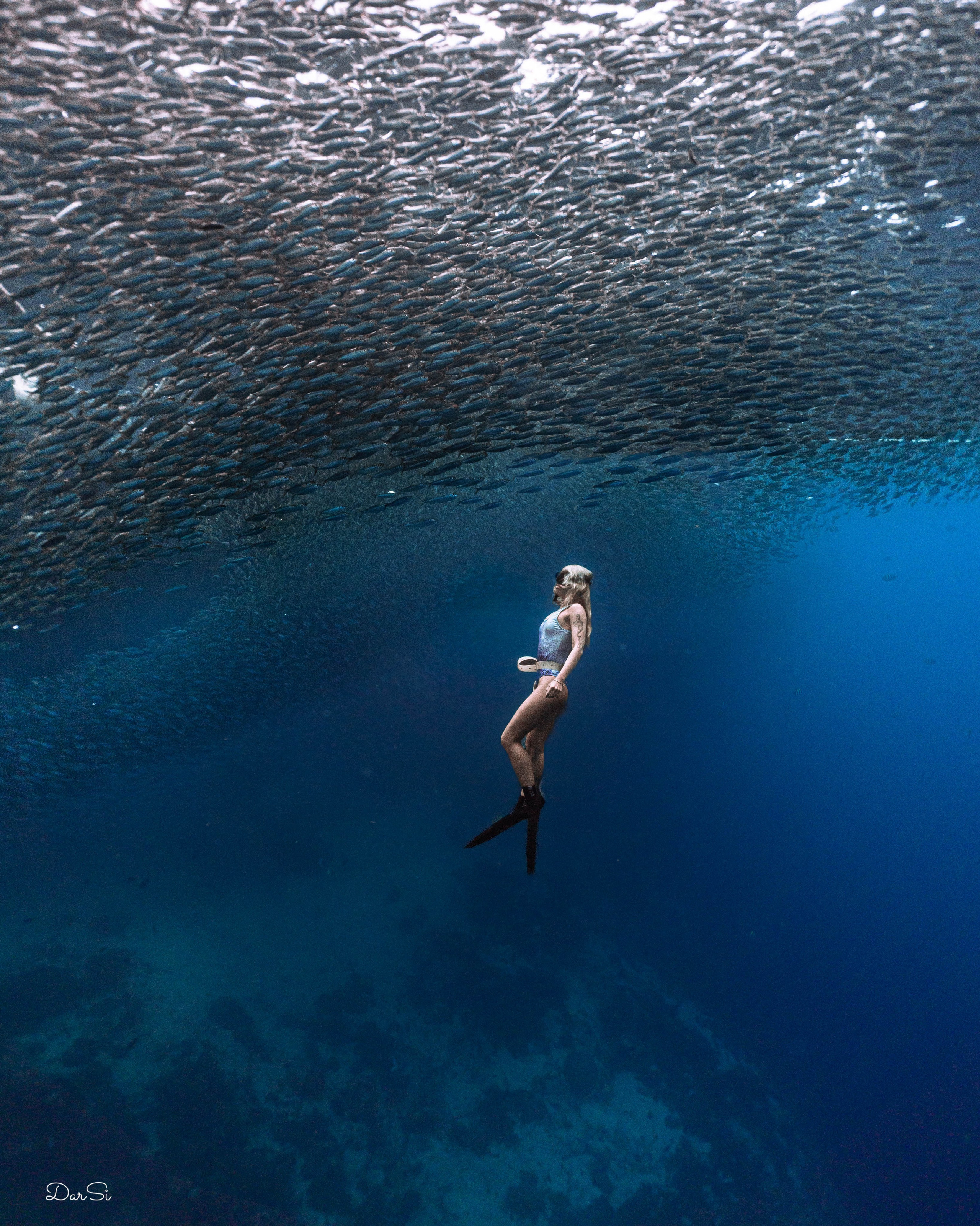 Фотосессия с сардинами (+каньон). Underwater Photographer in the Philippines — Daria Sinitsina