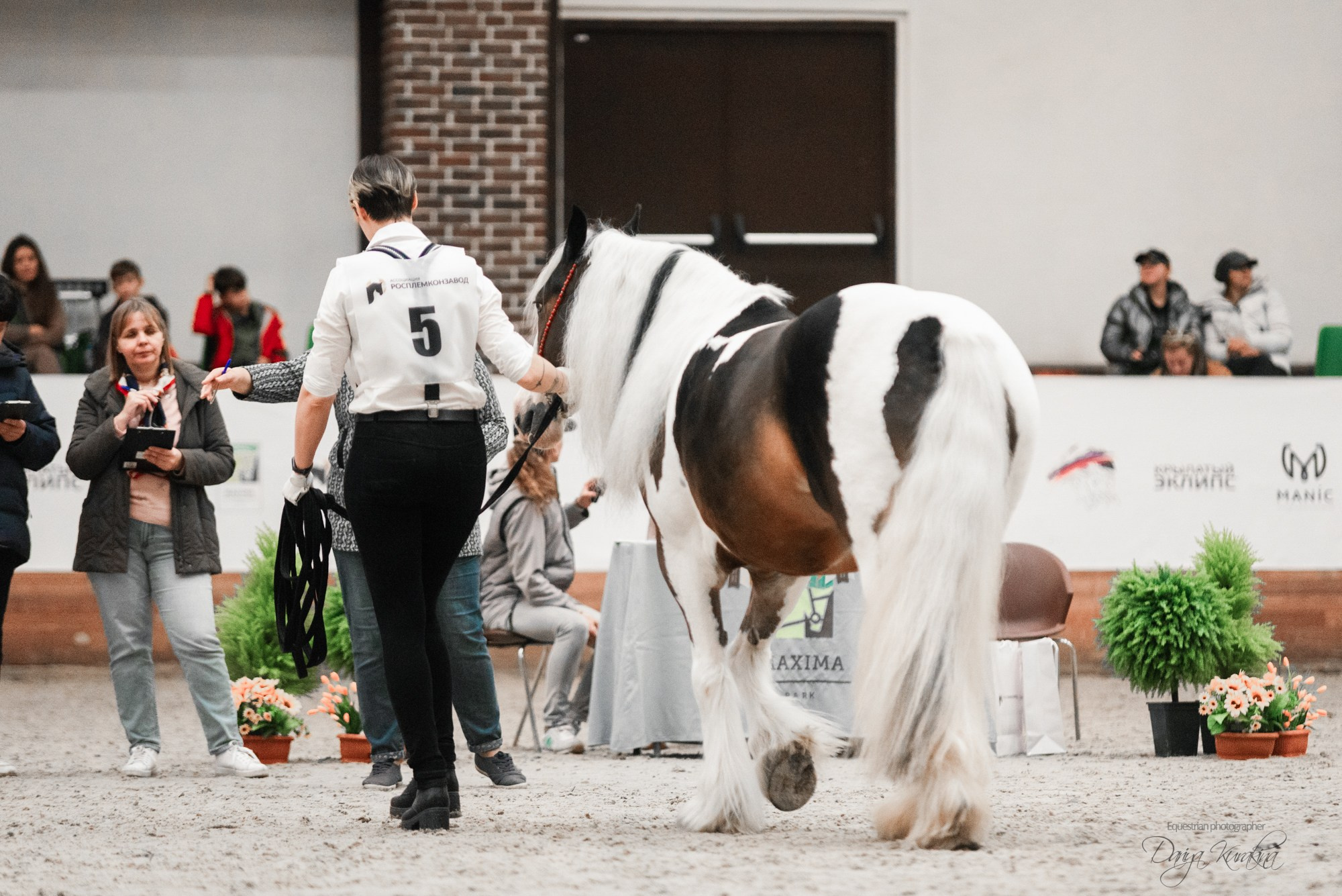 8-я международная выставка Конная Россия. Конный фотограф Куракина Дарья • Фотосессии с лошадьми