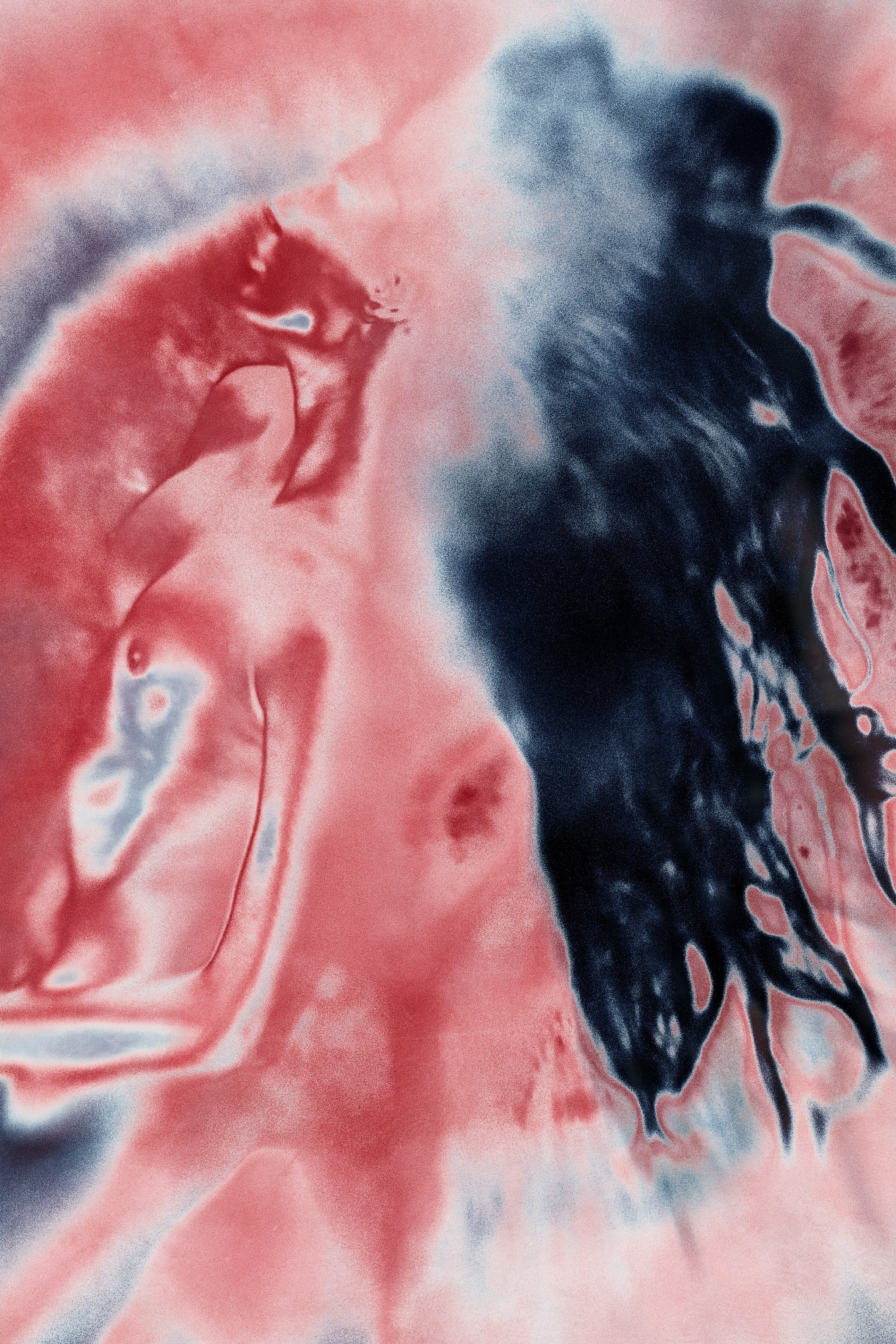«CTRL–Other». Shuvalova Anna VISUAL ARTIST
