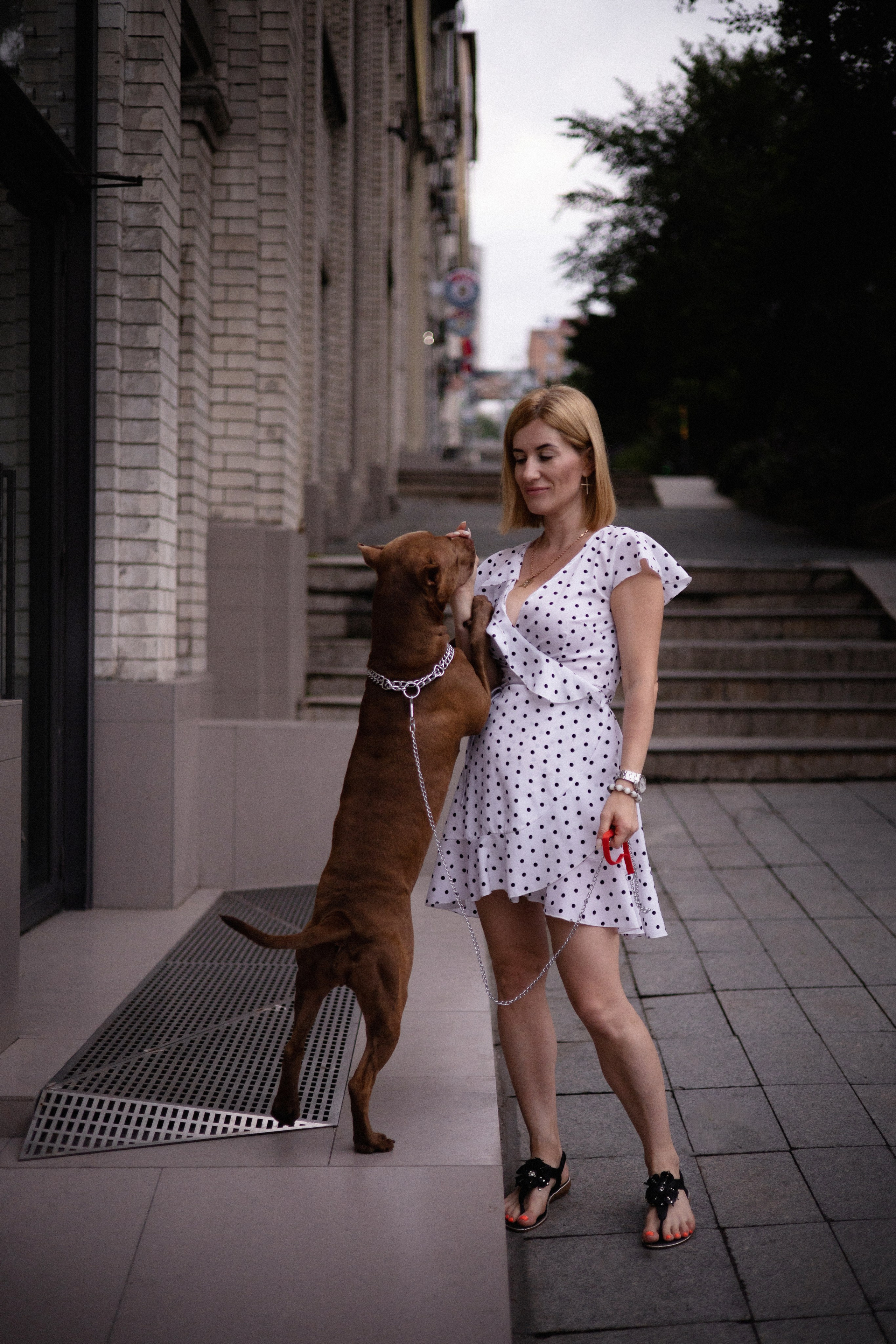 Оля и герда. Фотограф — анималист Владивосток, Алина