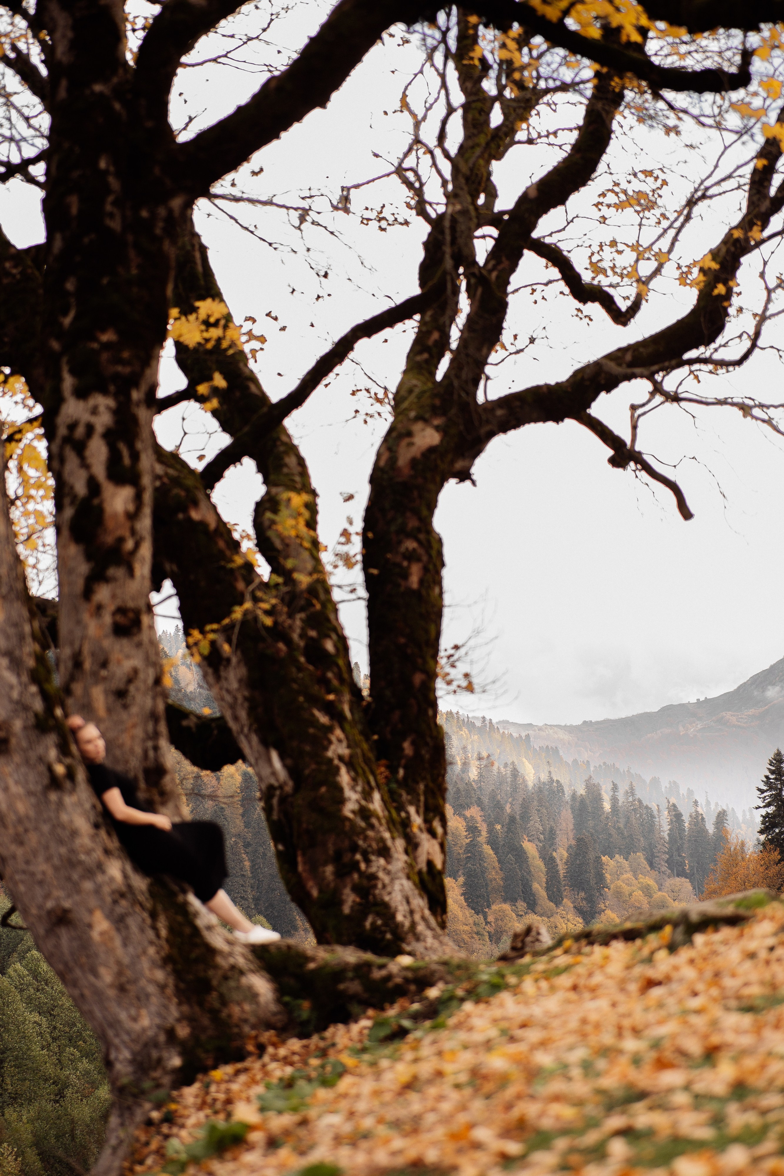 Рита (Абхазия). Семейный свадебный фотограф Семен Егоров