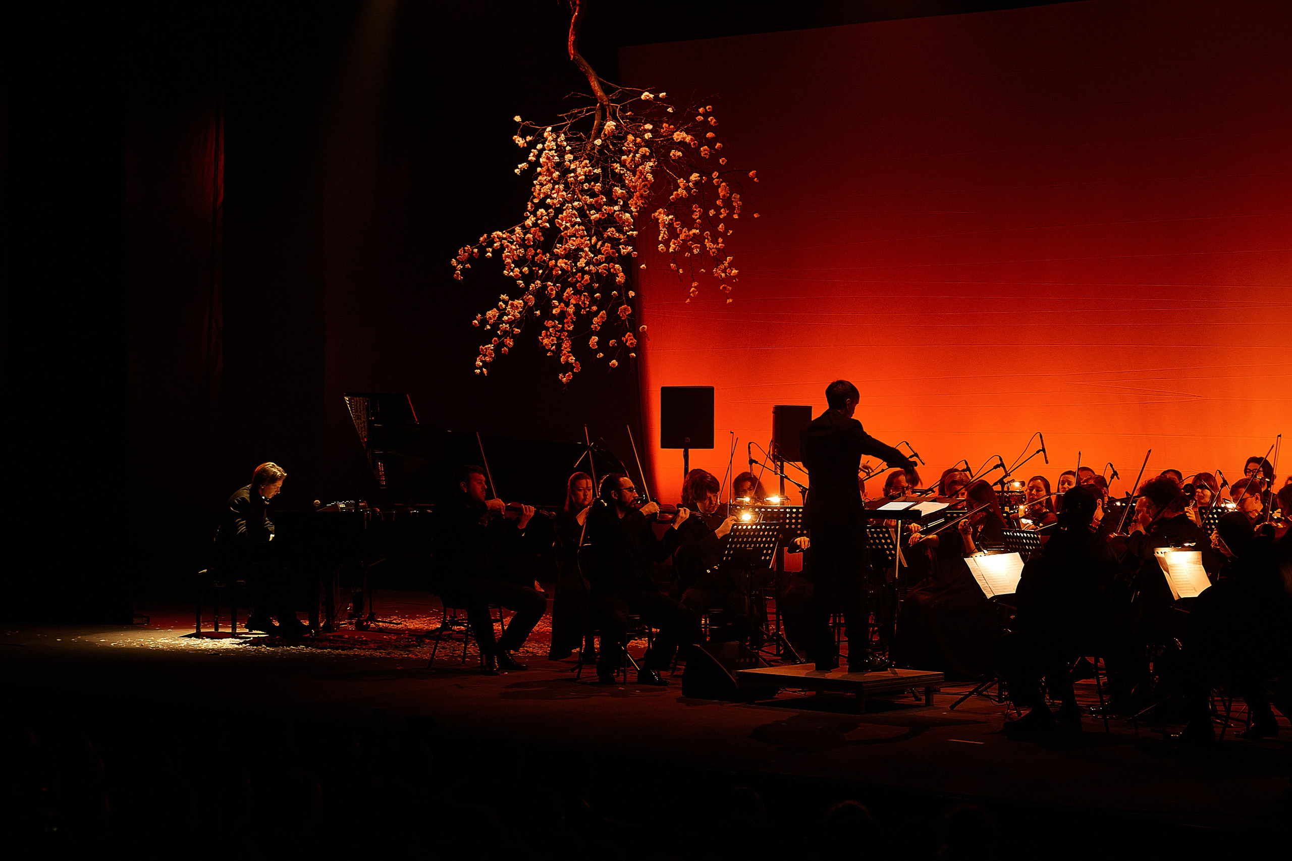 Никола Мельников / 2024. OOPS