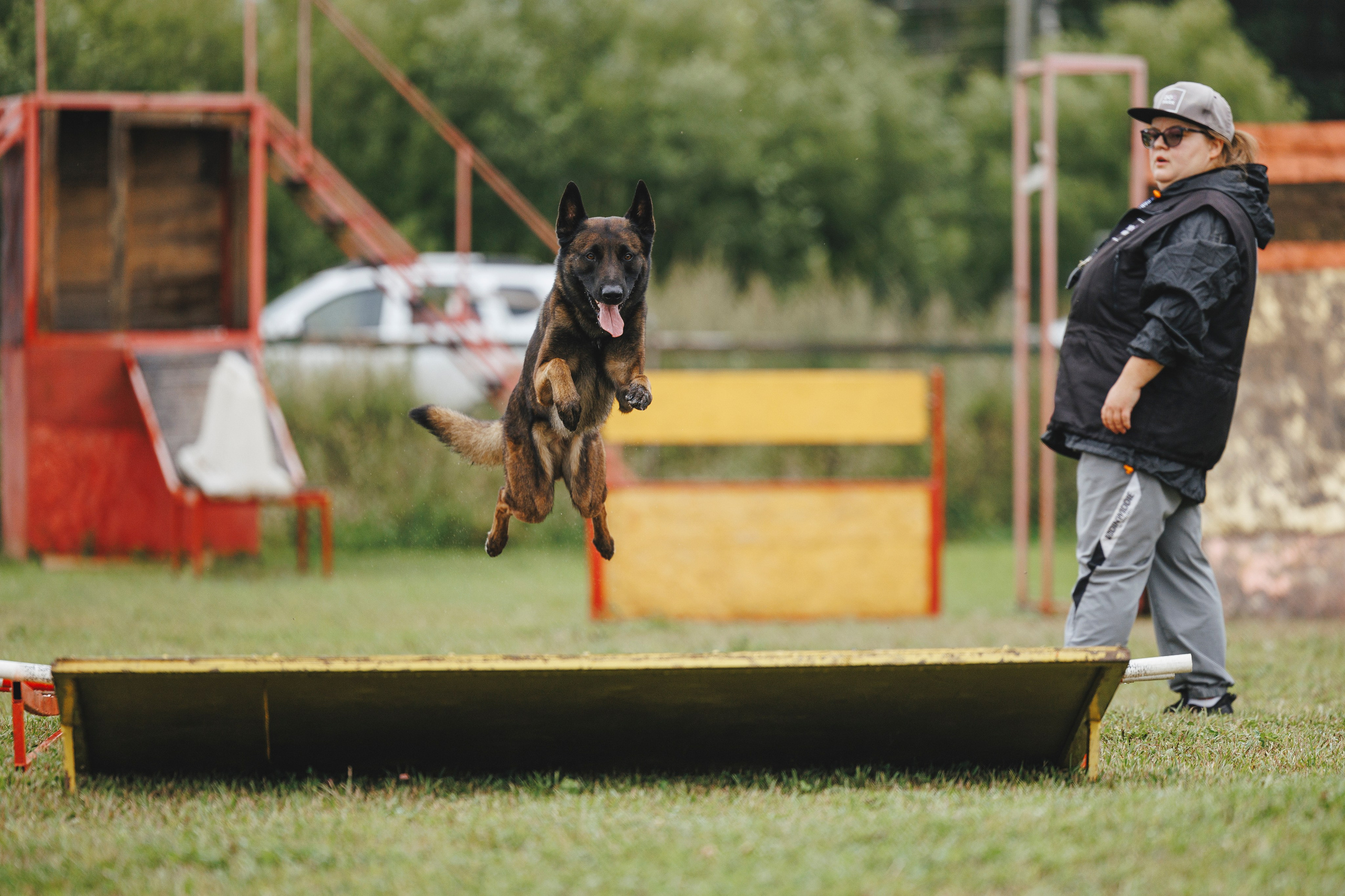 08.08.25-10.08.25 ЧР по мондьорингу г. Вологда. Фотограф-анималист Анна Маринич