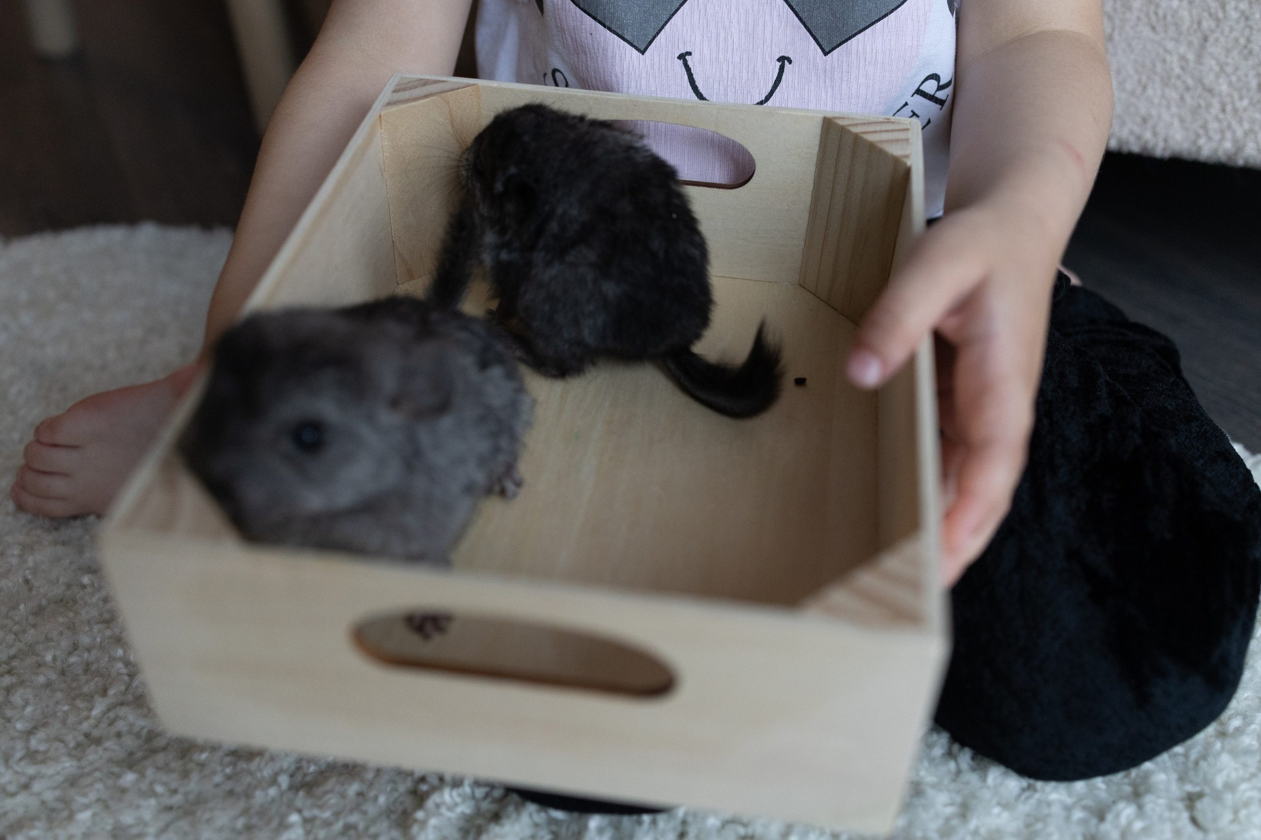 Lifstyle Фролкины. Семейный, женский и детский фотограф Татьяна Колобаева