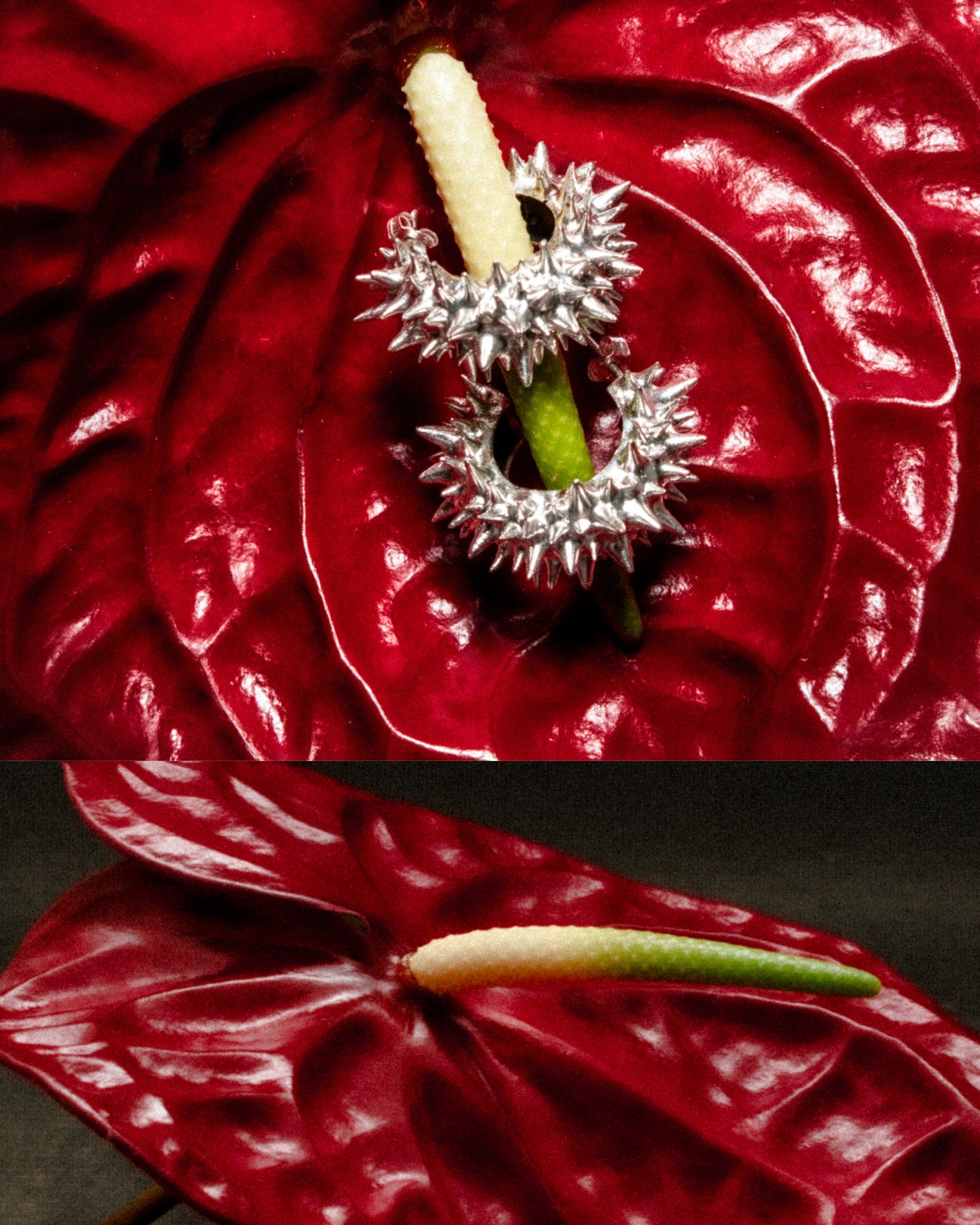 OUTBREAK: Flower Piercing. Фотограф Москва Грошева Софья