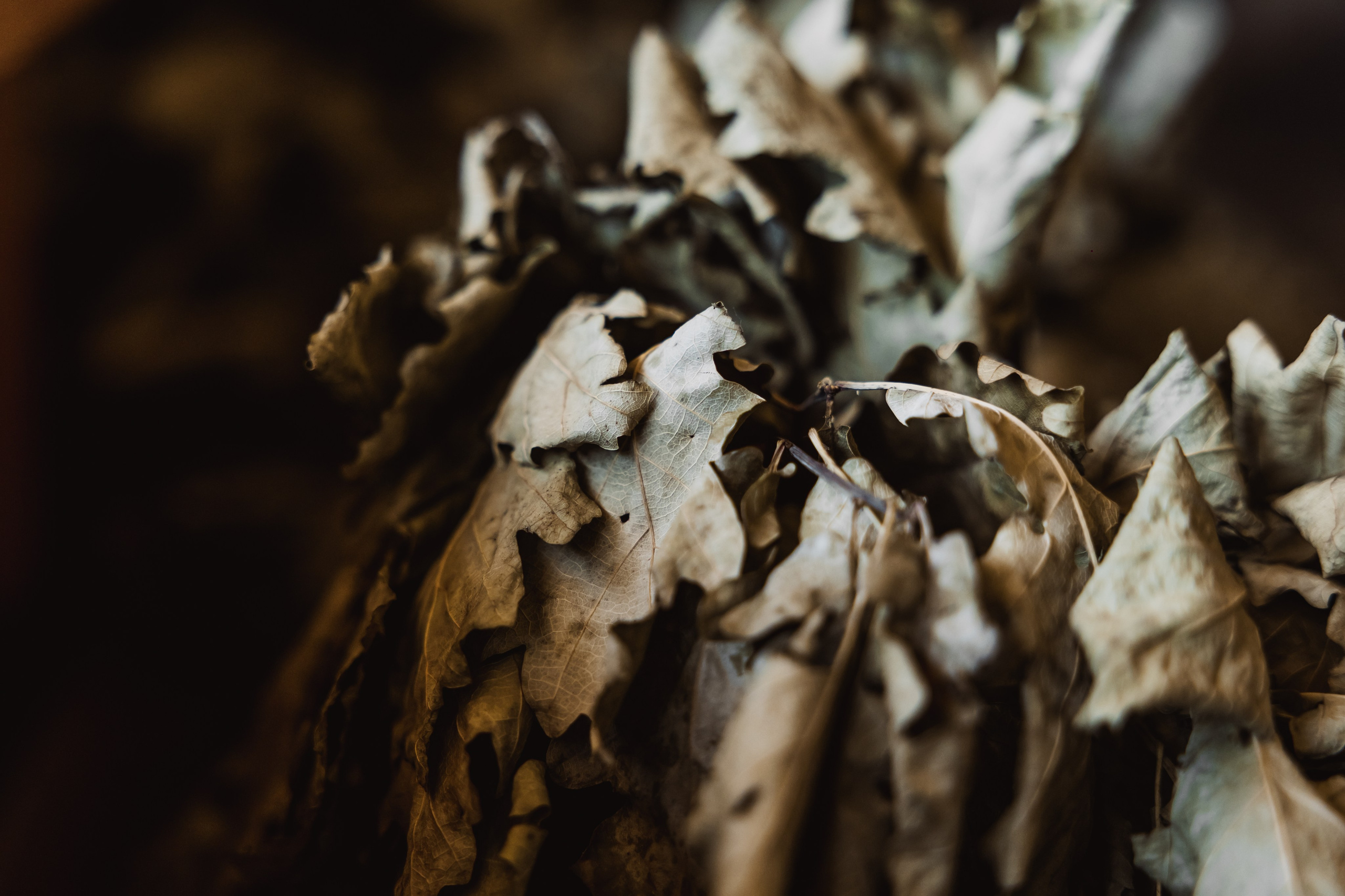 KUKSA|ТО, ЧТО ТЕБЯ СОГРЕВАЕТ|Кело-баня на дровах, г. Коломна. ФОТОГРАФ ИРИНА ШАМАТАВА