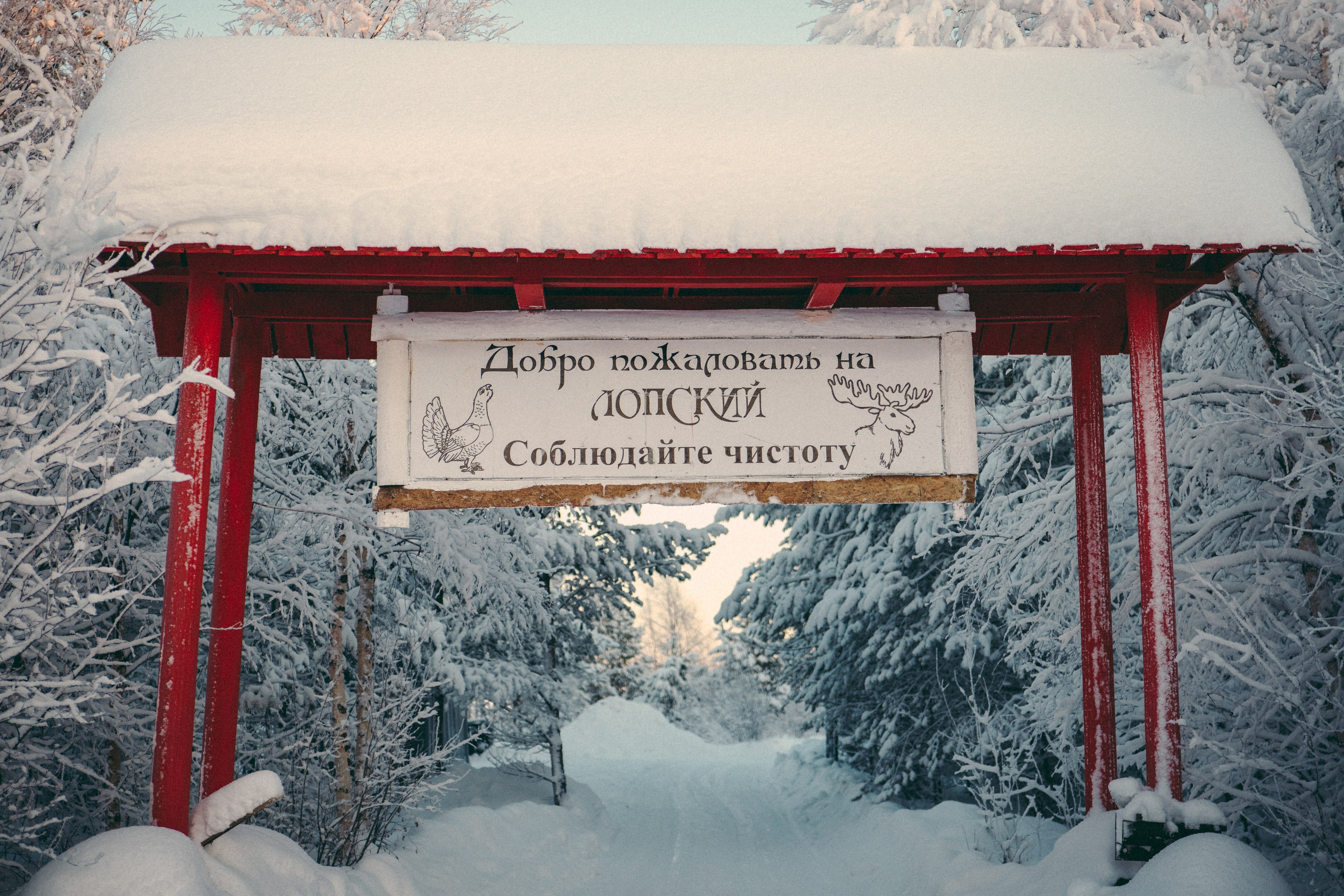 КАРЕЛИЯ / ЗИМА. Создание контента | Фото | Видеосъемка | Александр Ярков