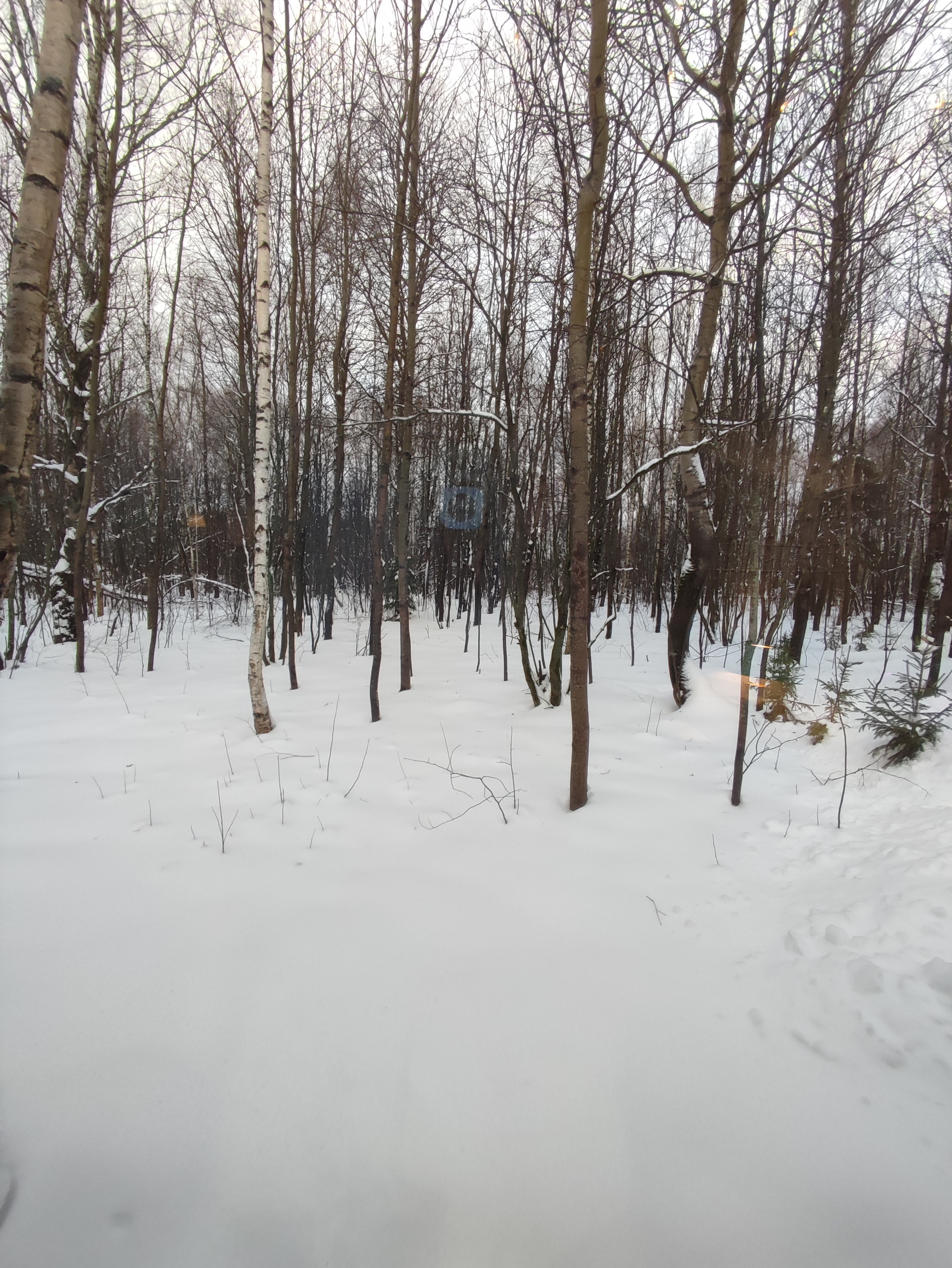 Les_ecovillage. Фотохудожник BID