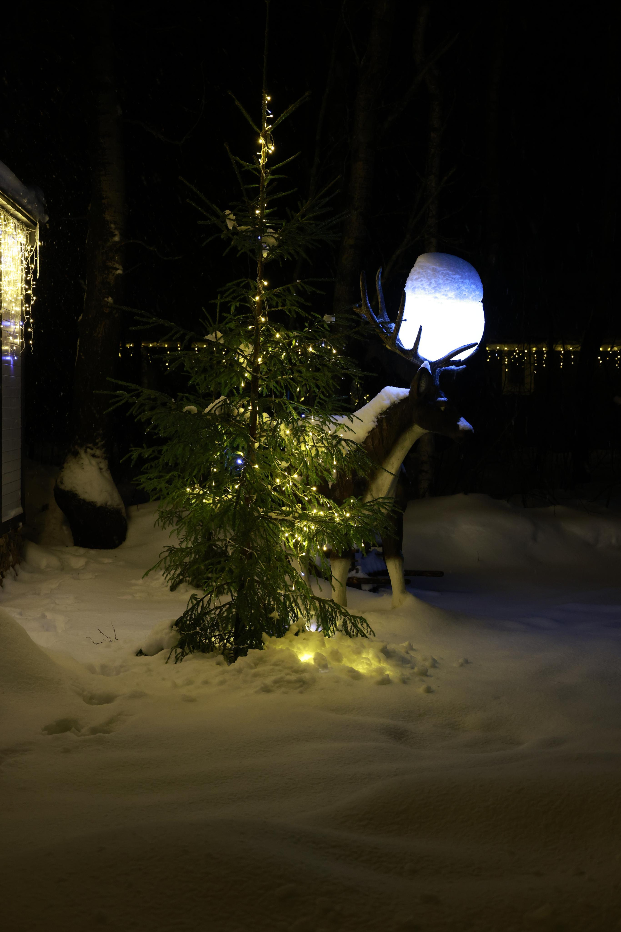 Les_ecovillage. Фотохудожник BID