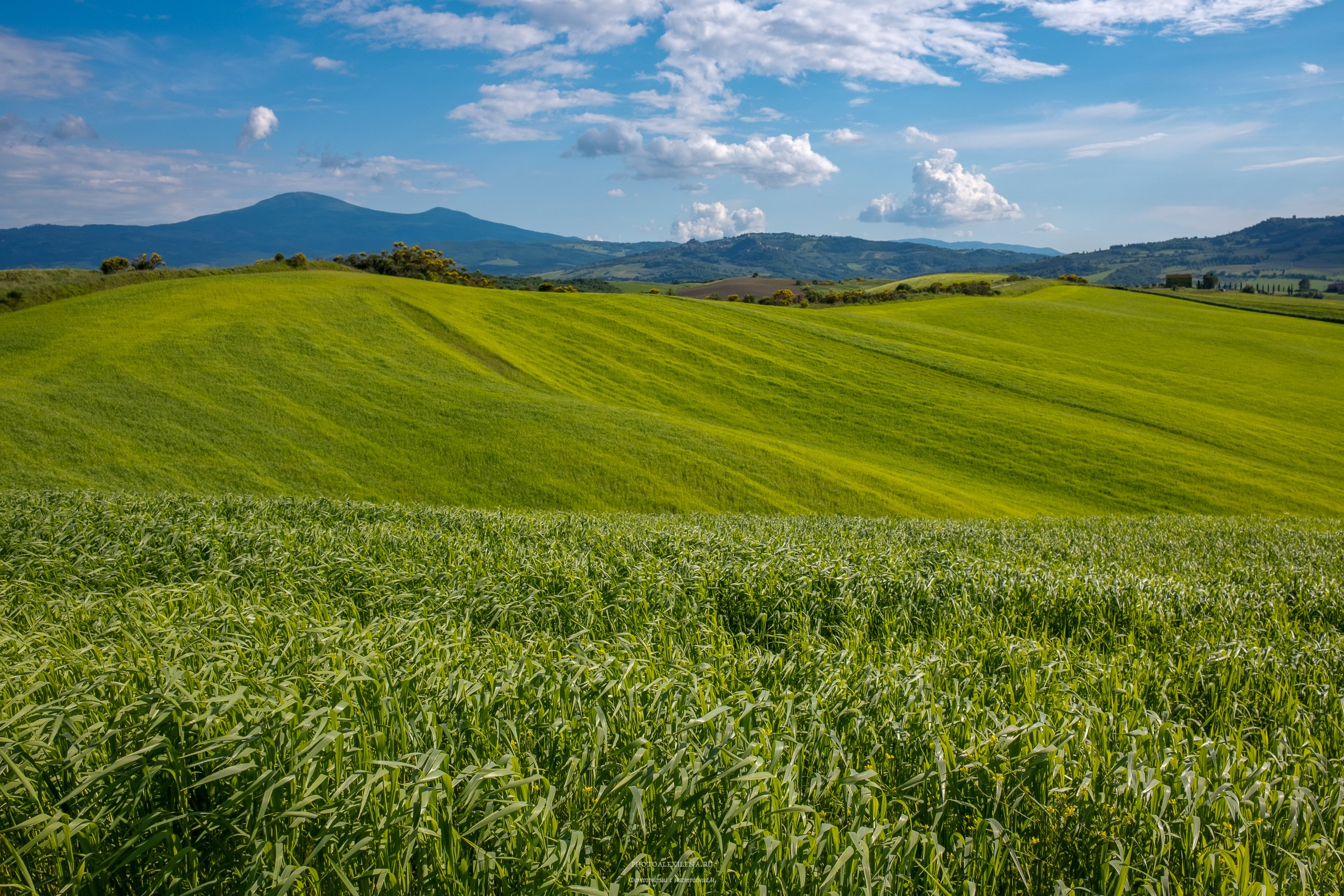 Долина Валь д’Орча-сердце Тосканы. Авторские стильные фотокартины