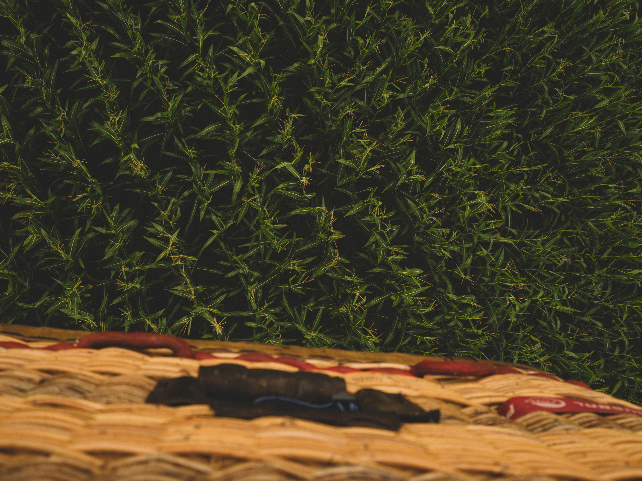 Артём и Настя. Лайфстайл фотограф в Москве Катюша Кузьмина