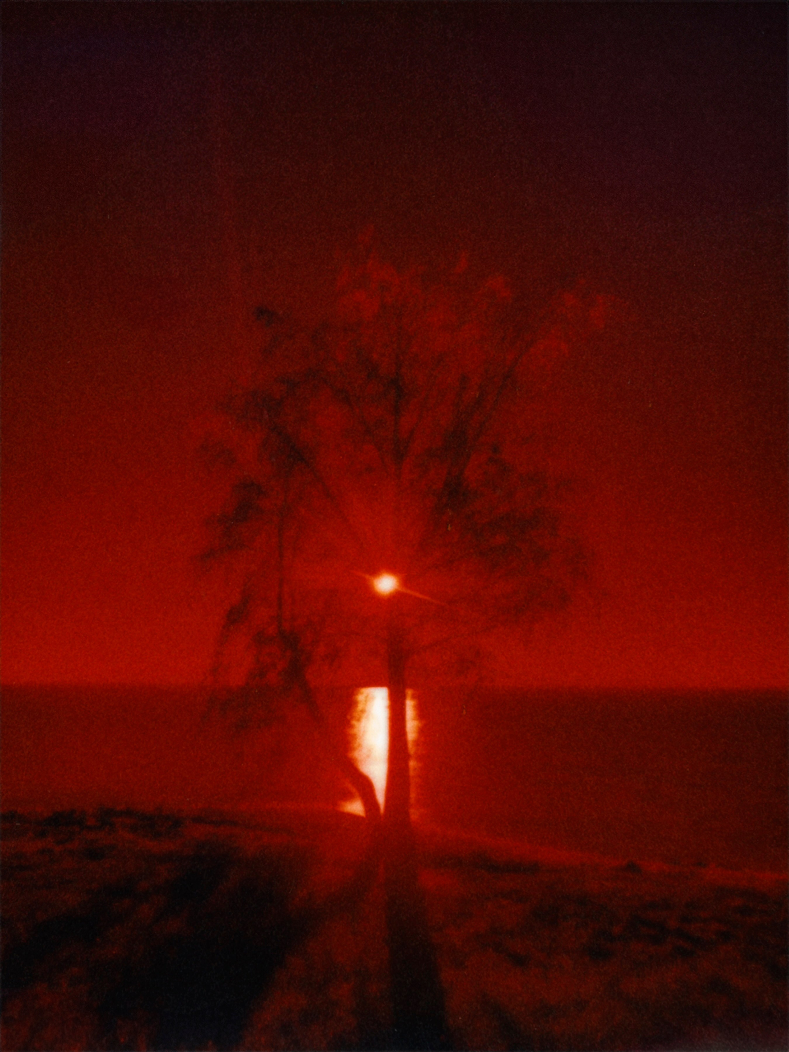 DISTURBING BEAUTY. Evgeniia Mikheeva — International visual artist