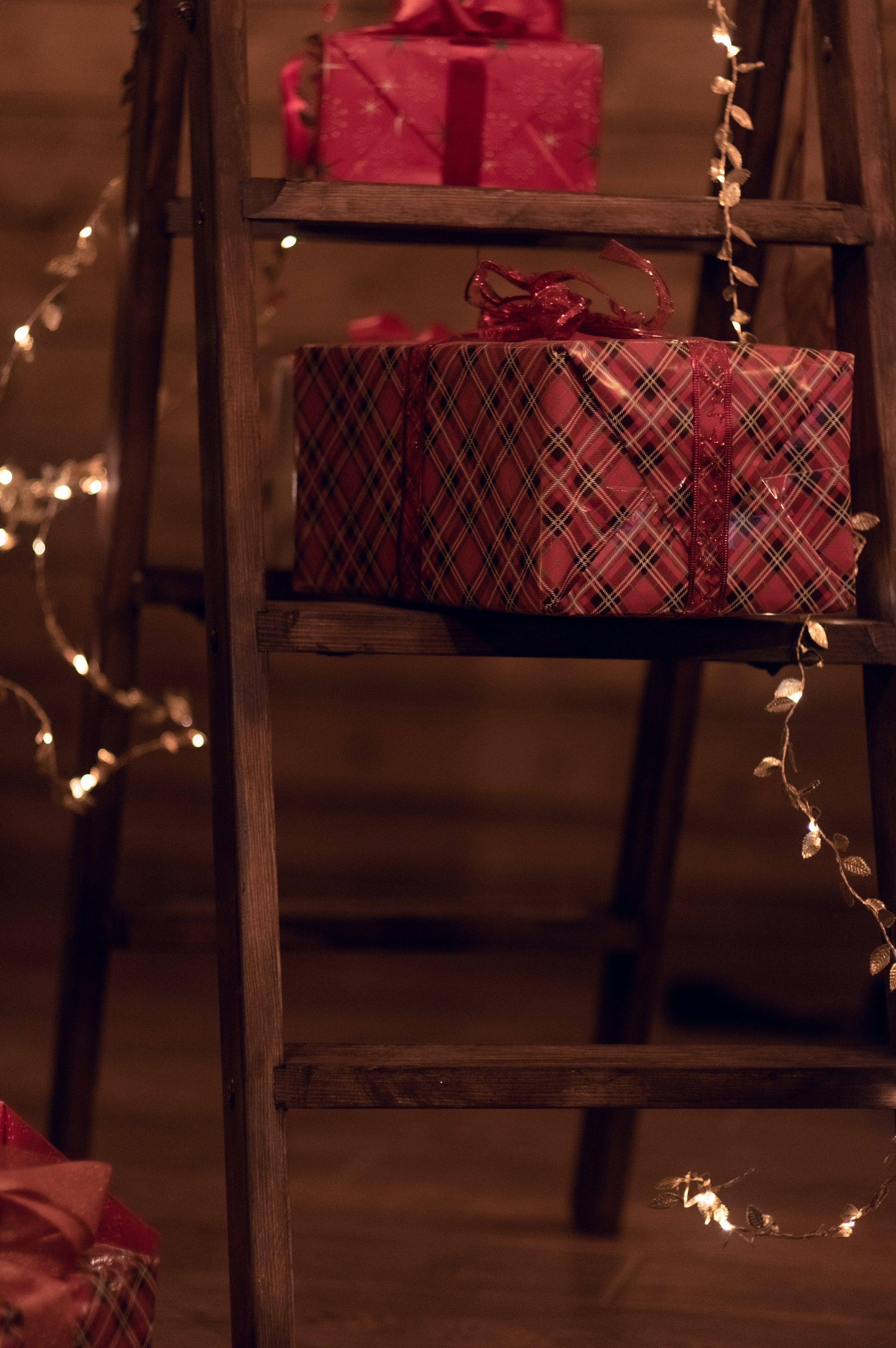 ФОТО ДАЧА. Фотограф Светлана Воронцова