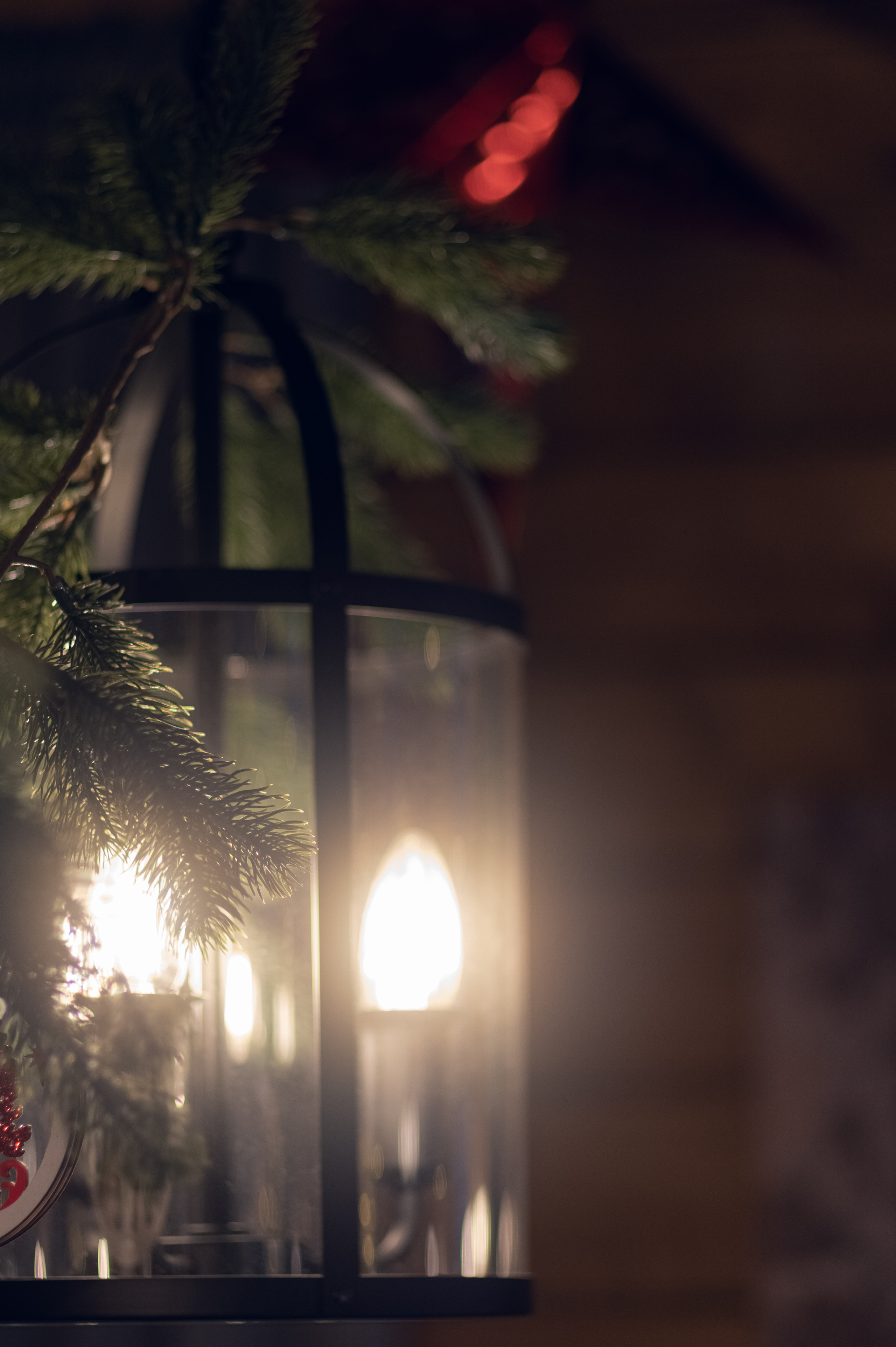 ФОТО ДАЧА. Фотограф Светлана Воронцова