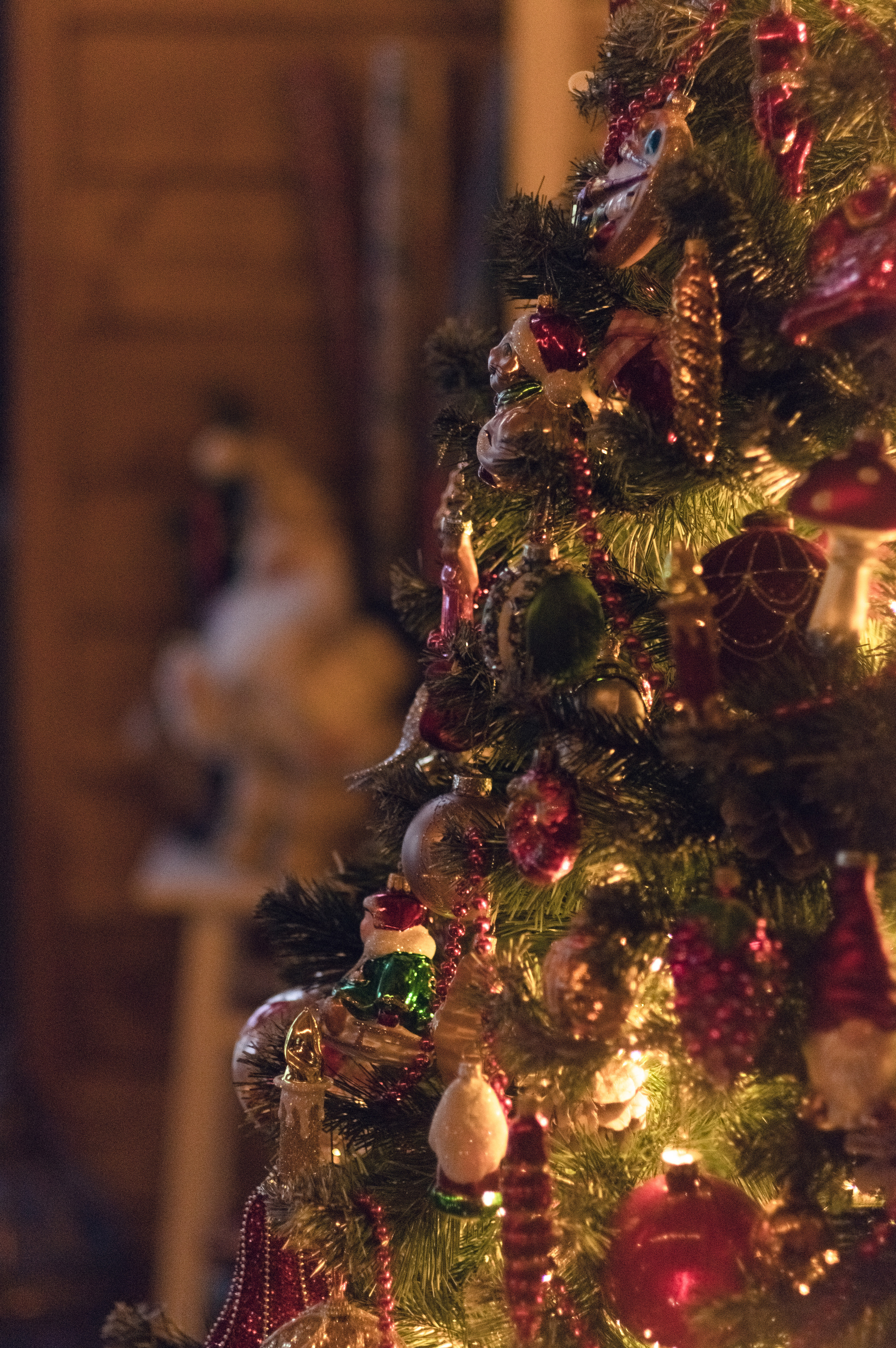 ФОТО ДАЧА. Фотограф Светлана Воронцова