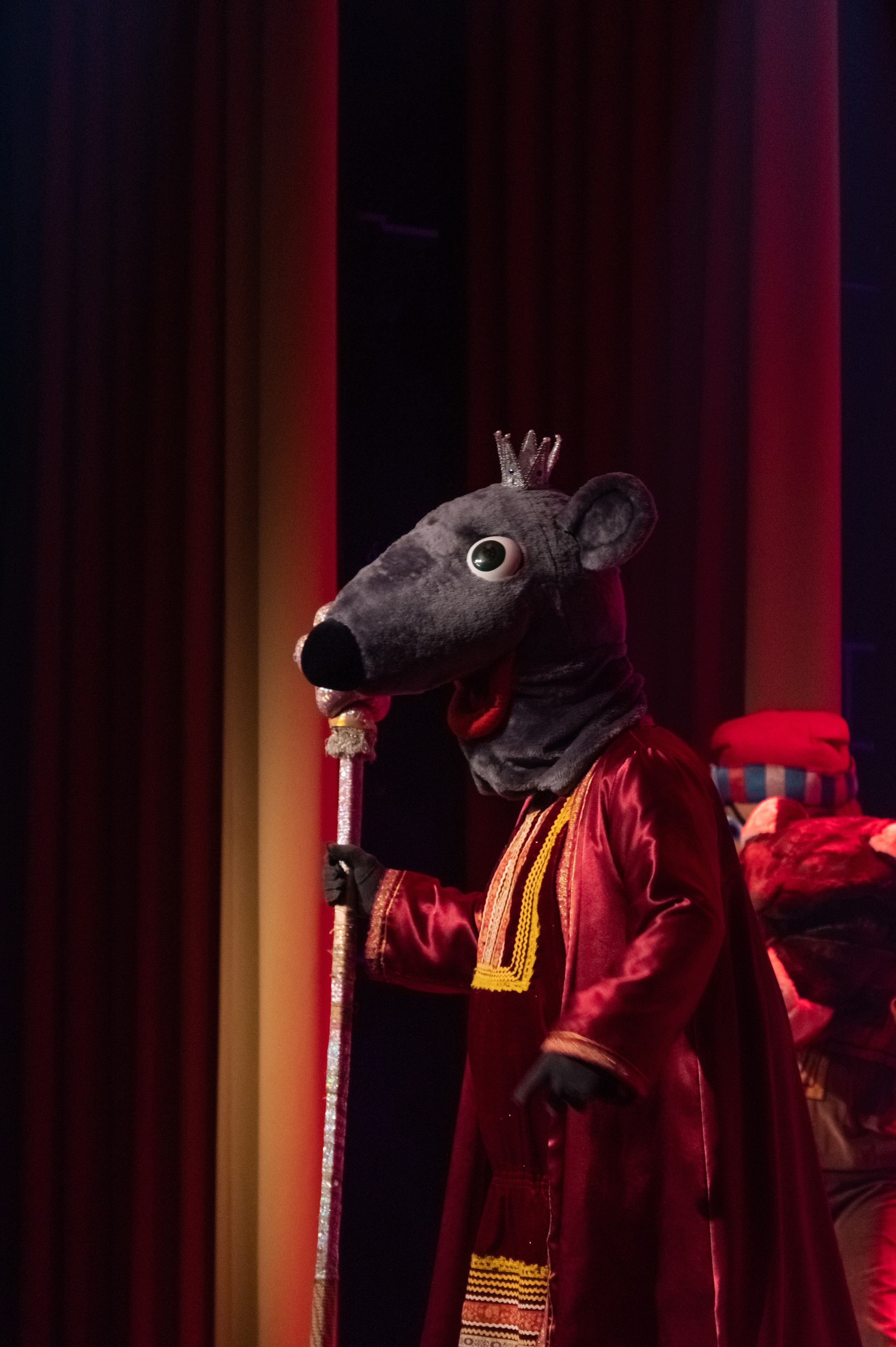 Новогодний концерт. Фотограф Светлана Воронцова