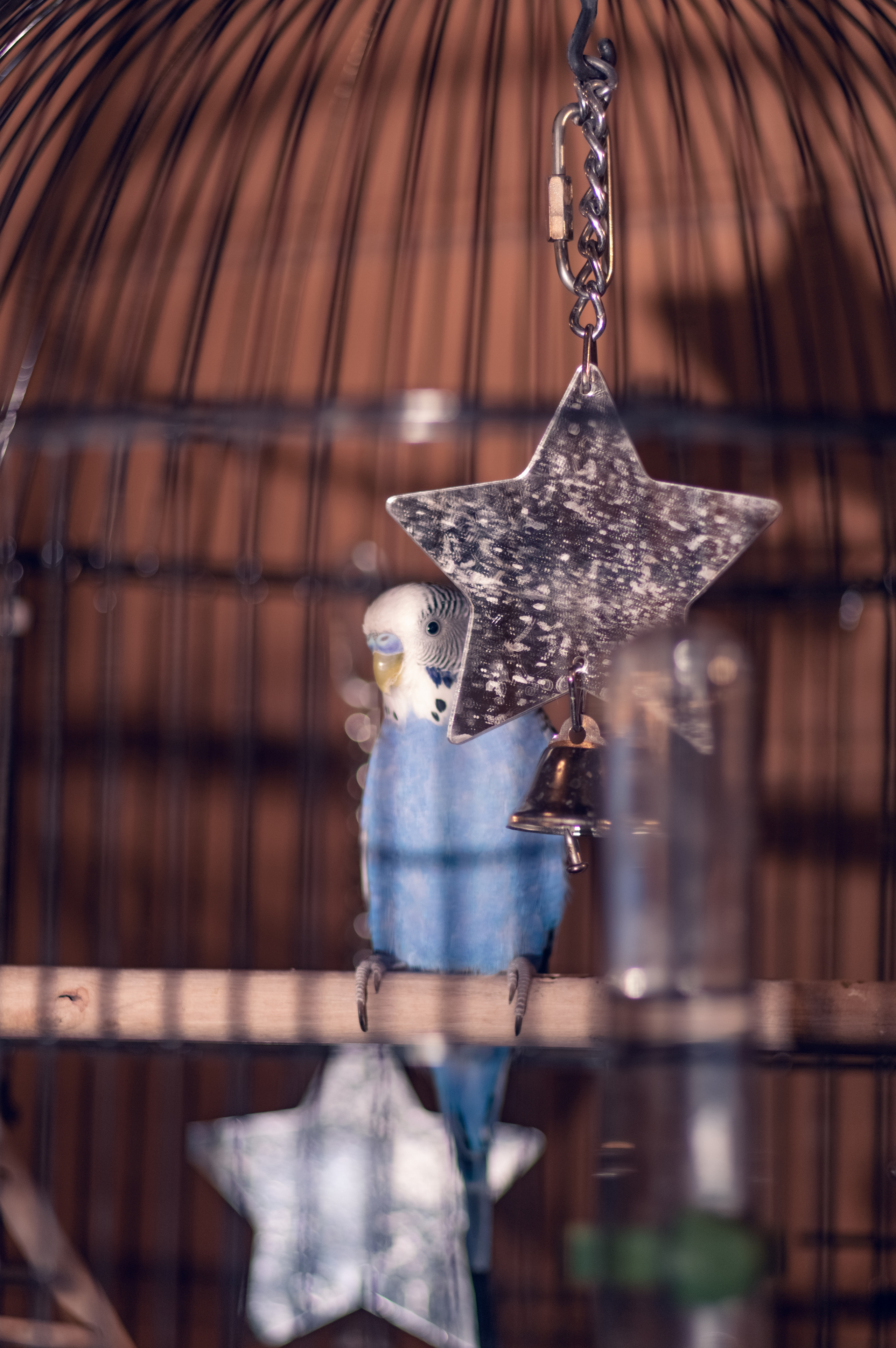 ФОТО ДАЧА. Фотограф Светлана Воронцова