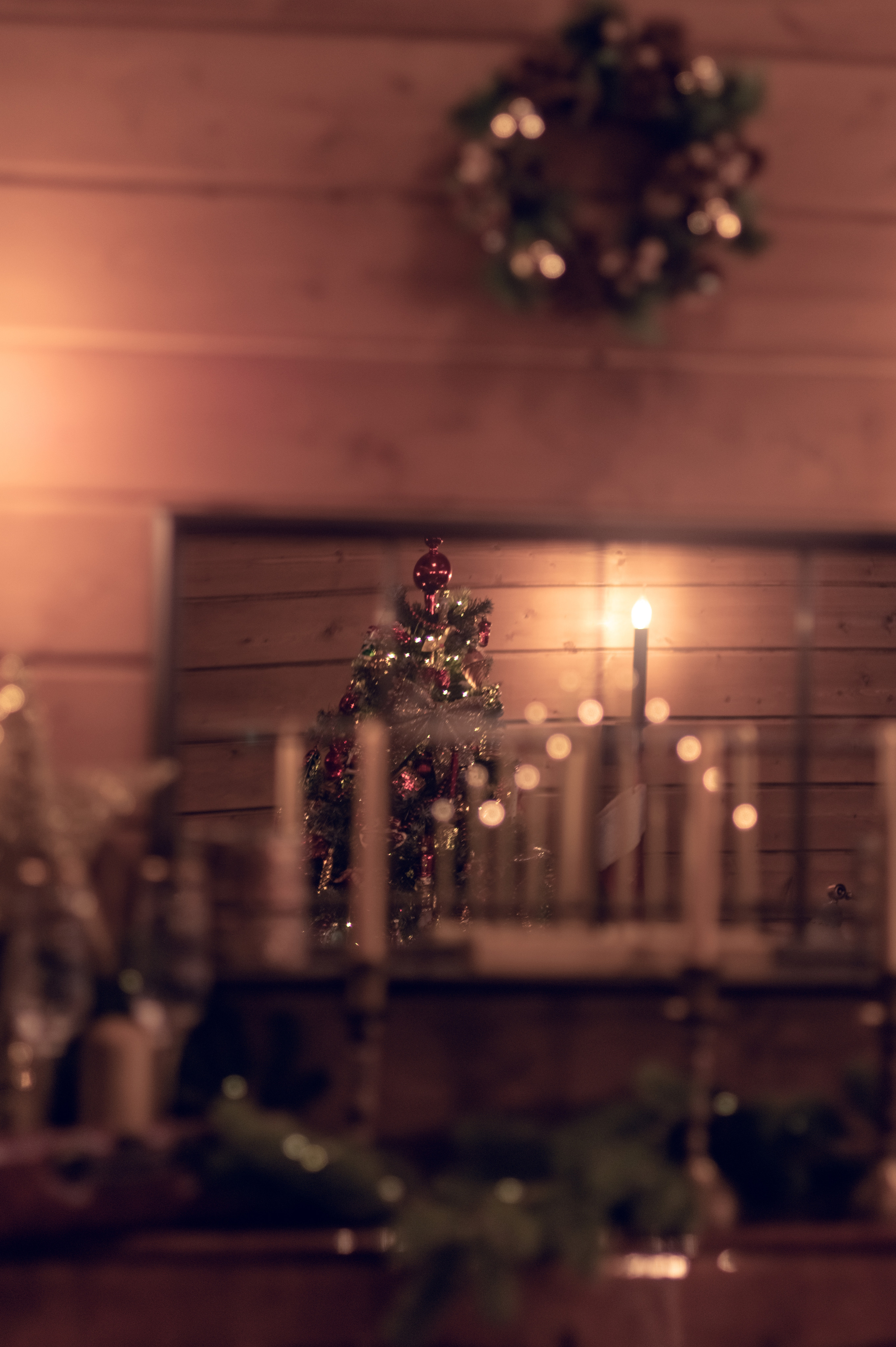 ФОТО ДАЧА. Фотограф Светлана Воронцова