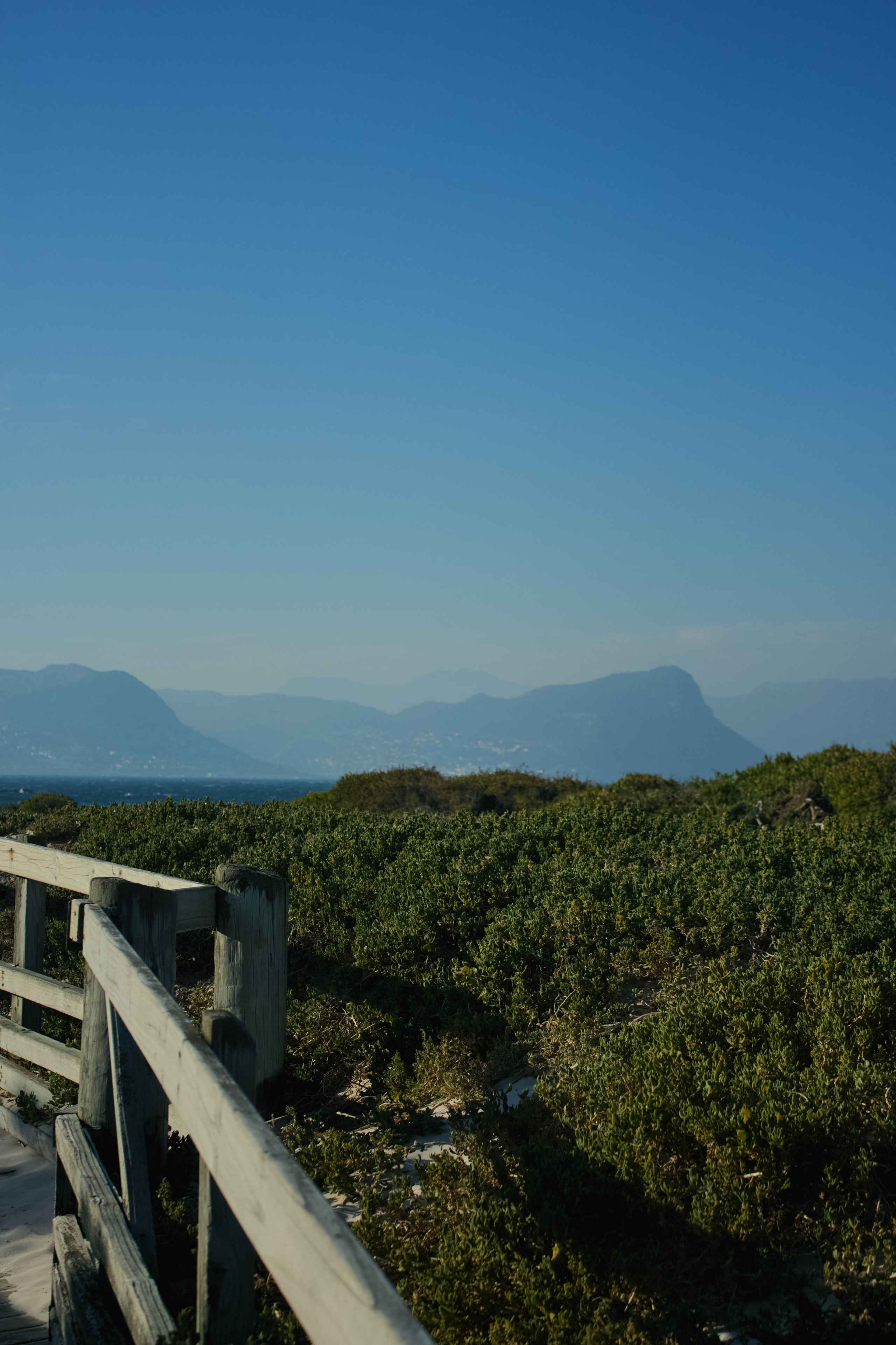 ЮАР. Профессиональный Фотограф во Владимире, в Москве и в Суздале — Полина Романычева