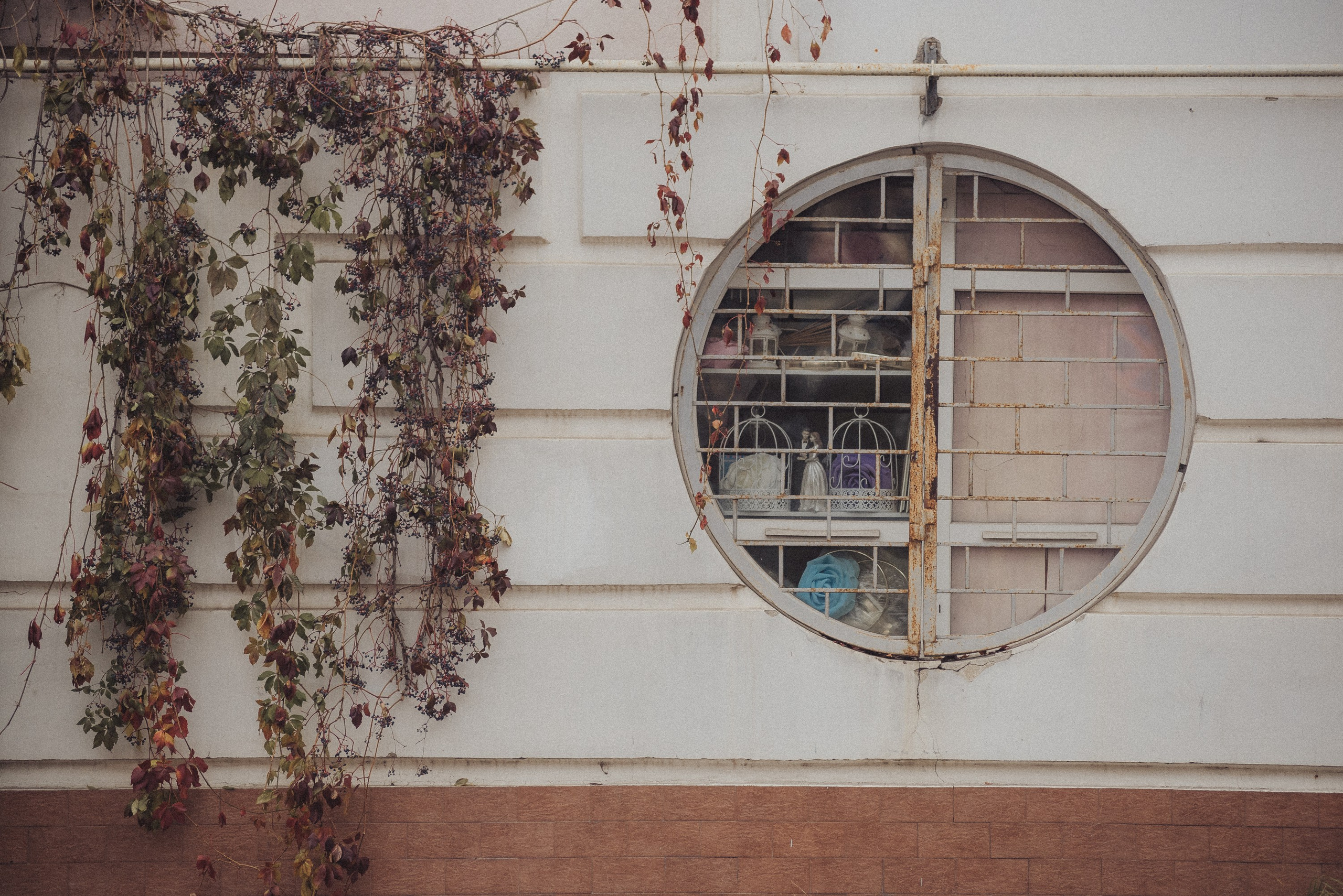 Проект #улицыгорода. Ярославль, ул. Республиканская. Документальный фотограф Илья Тихановский