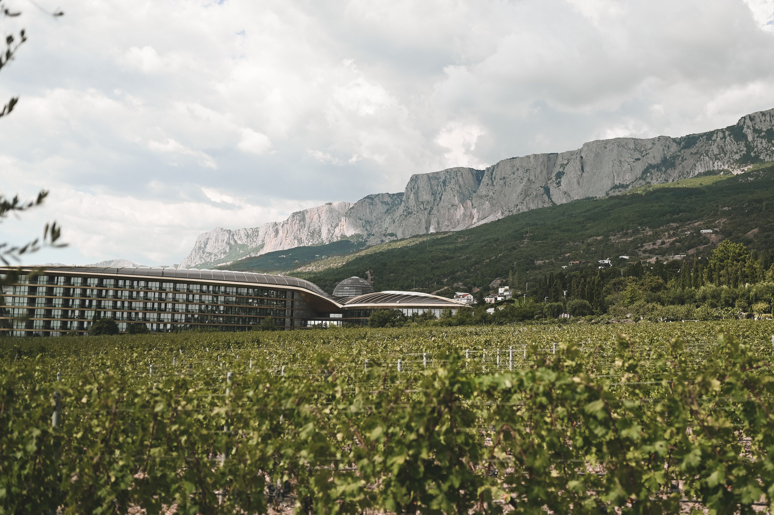 Дима и Полина. Mriya & Гурзуф. Свадебный фотограф. Крым и дальше!