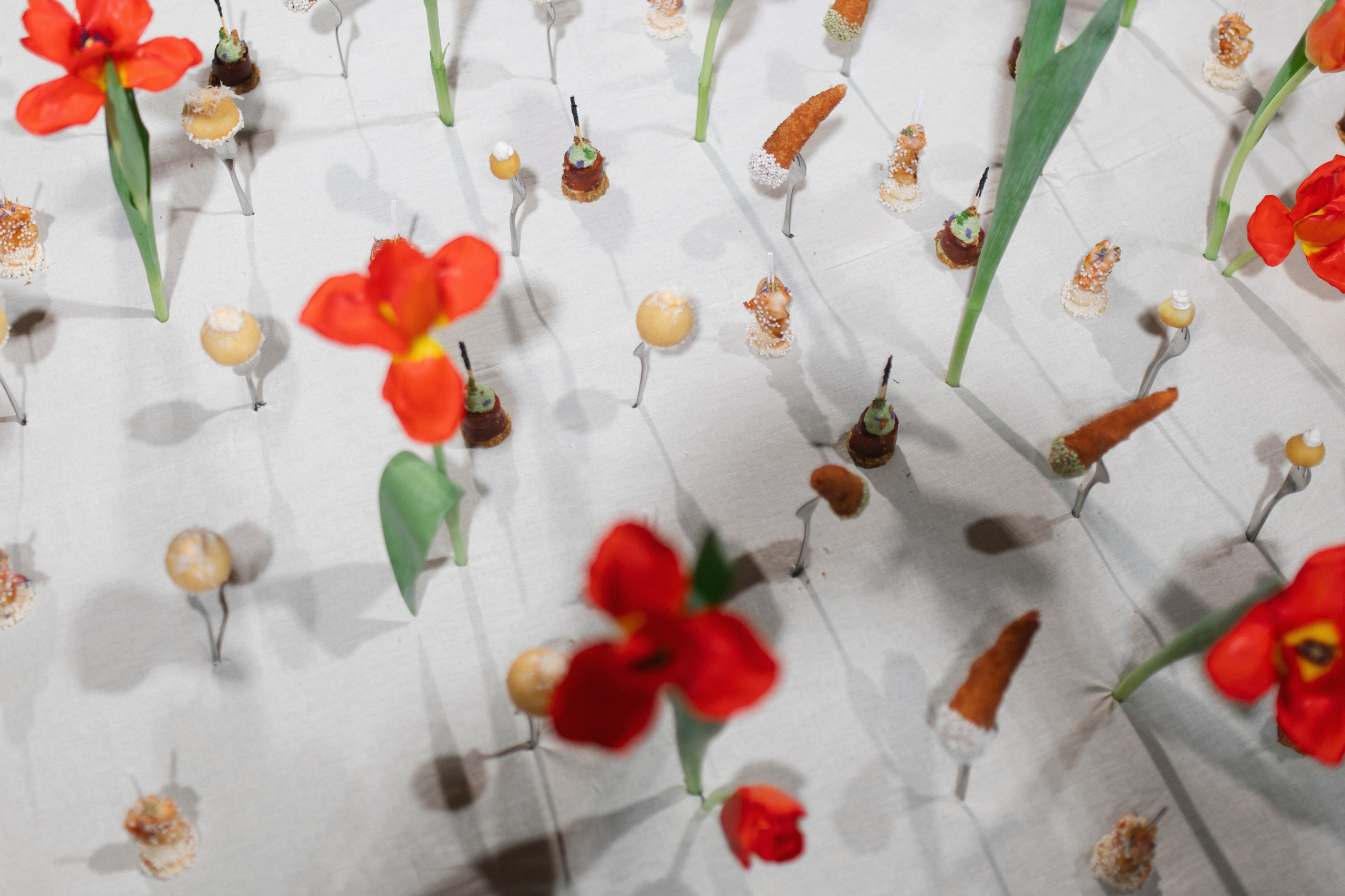 «ПИР». Maria Startseva Photo