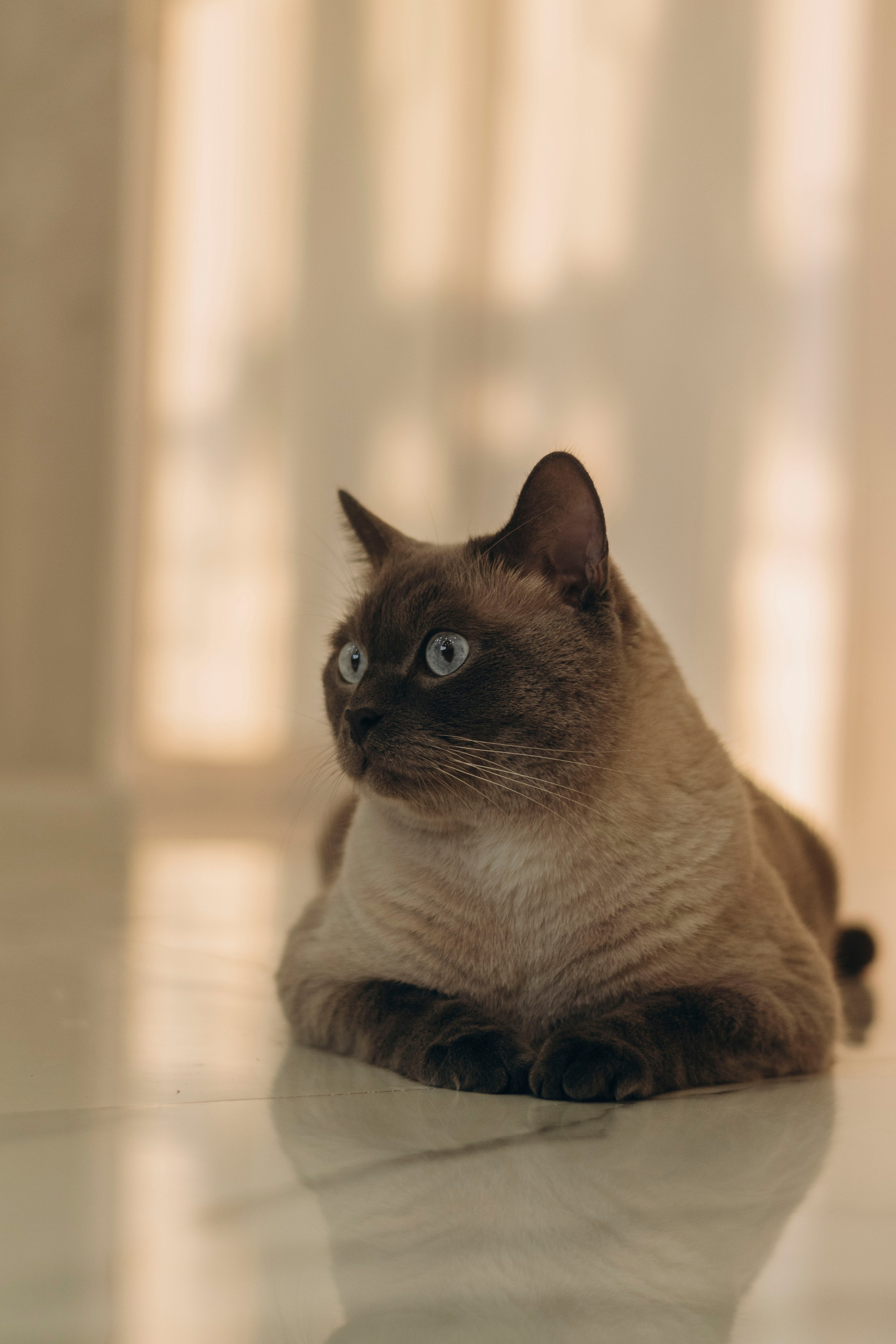 Мама папа я…. Фотограф | Липецк