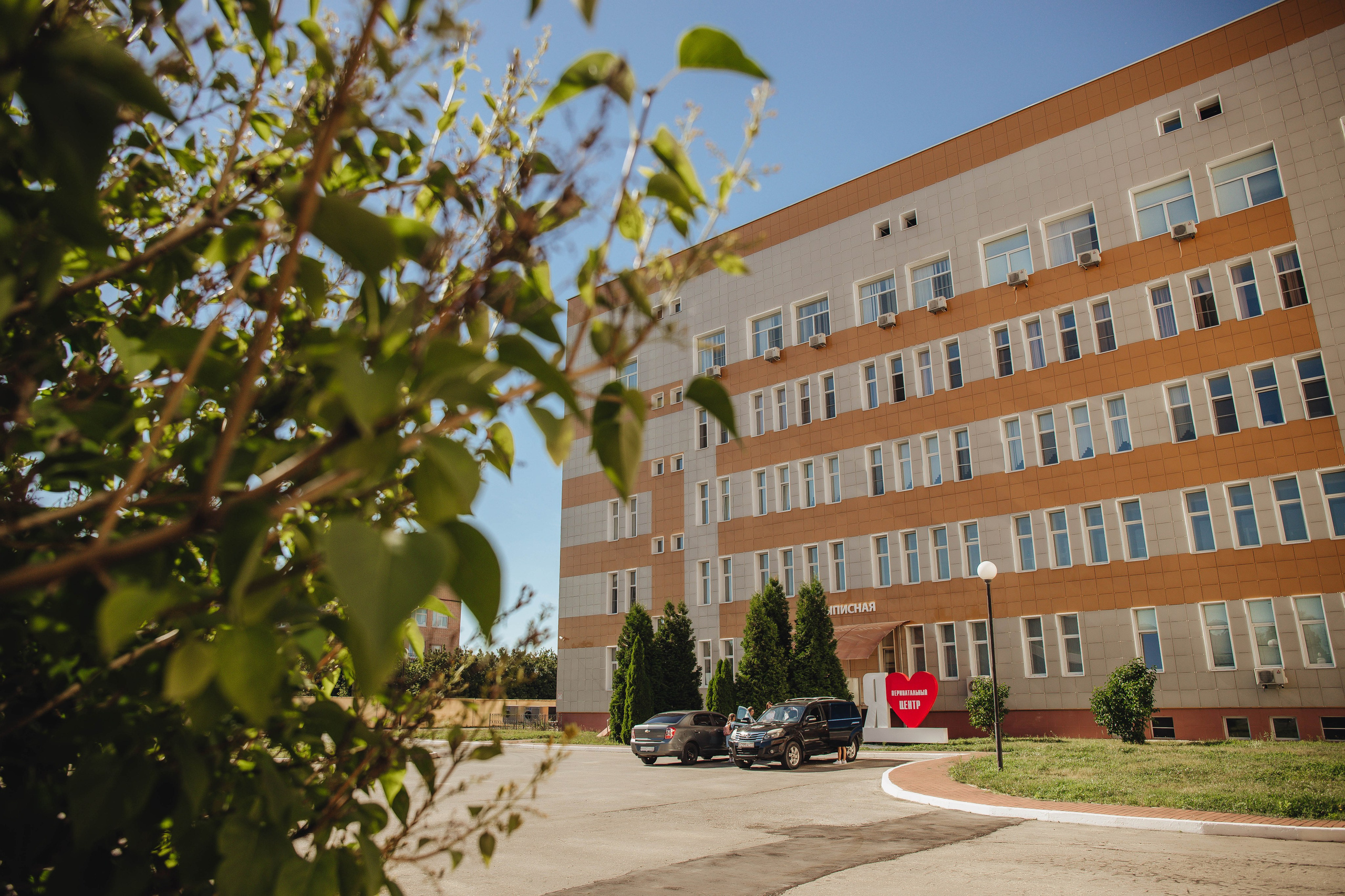 Выписка Ники. Свадебный и семейный фотограф Пушкин Царское Село СПБ Питер Санкт-Петербург и Рязань Ольга Козлова